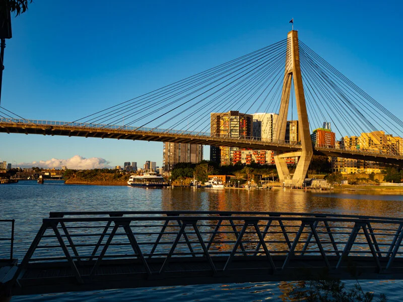 P1090270.jpg
