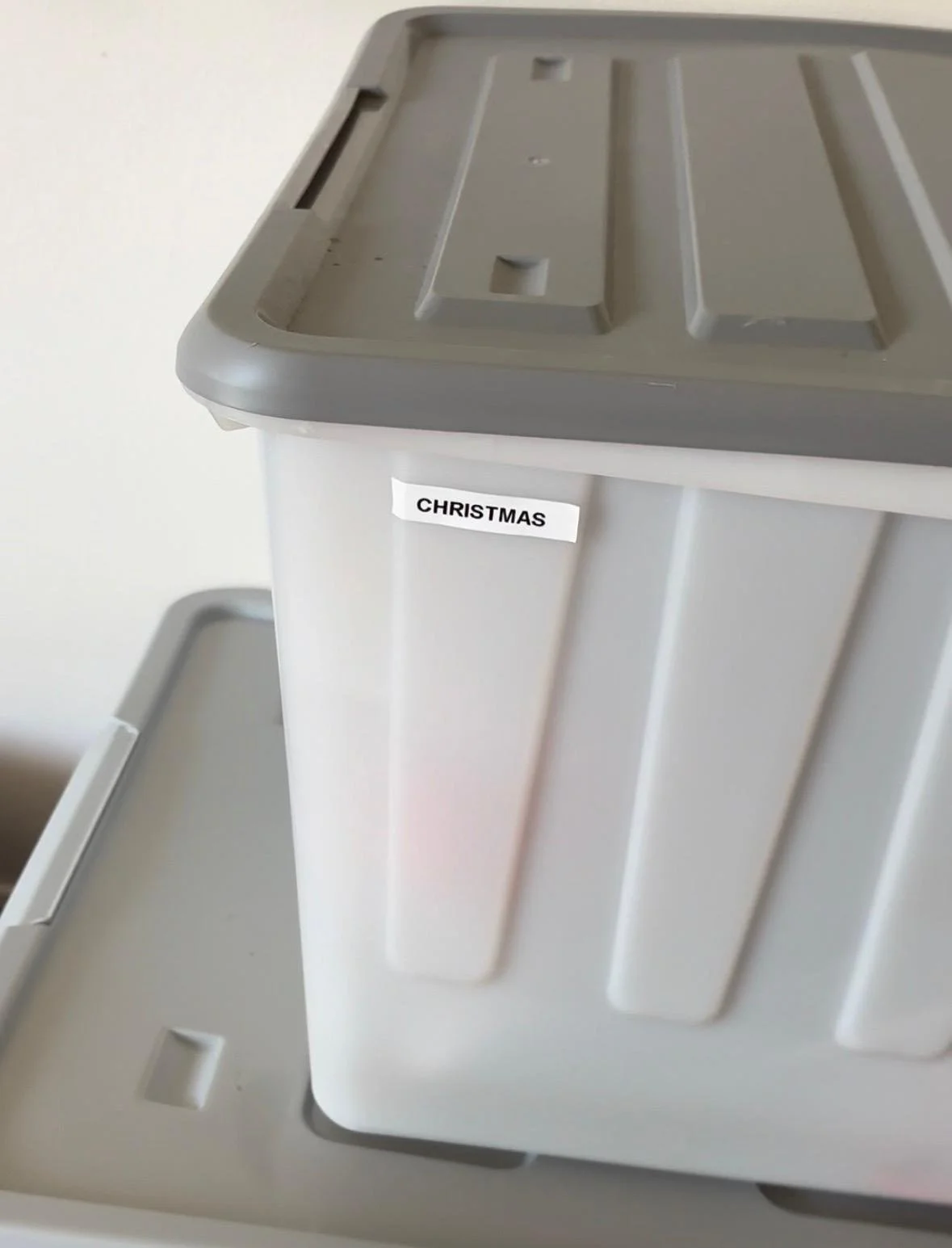 WhatsApp Image 2025-12-11 at 11.06.45.jpeg