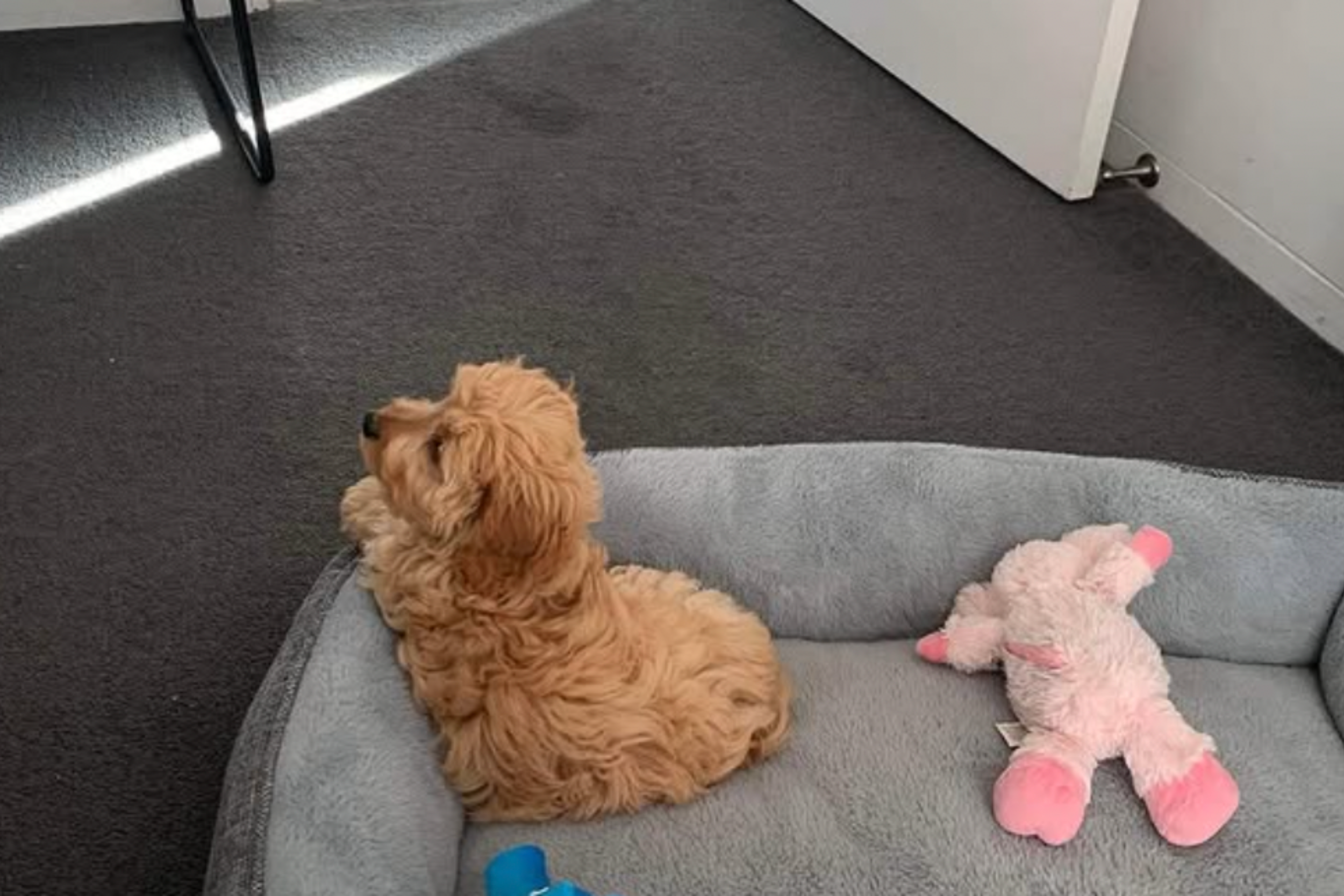 MPA Blogs Imagery copy 2.png