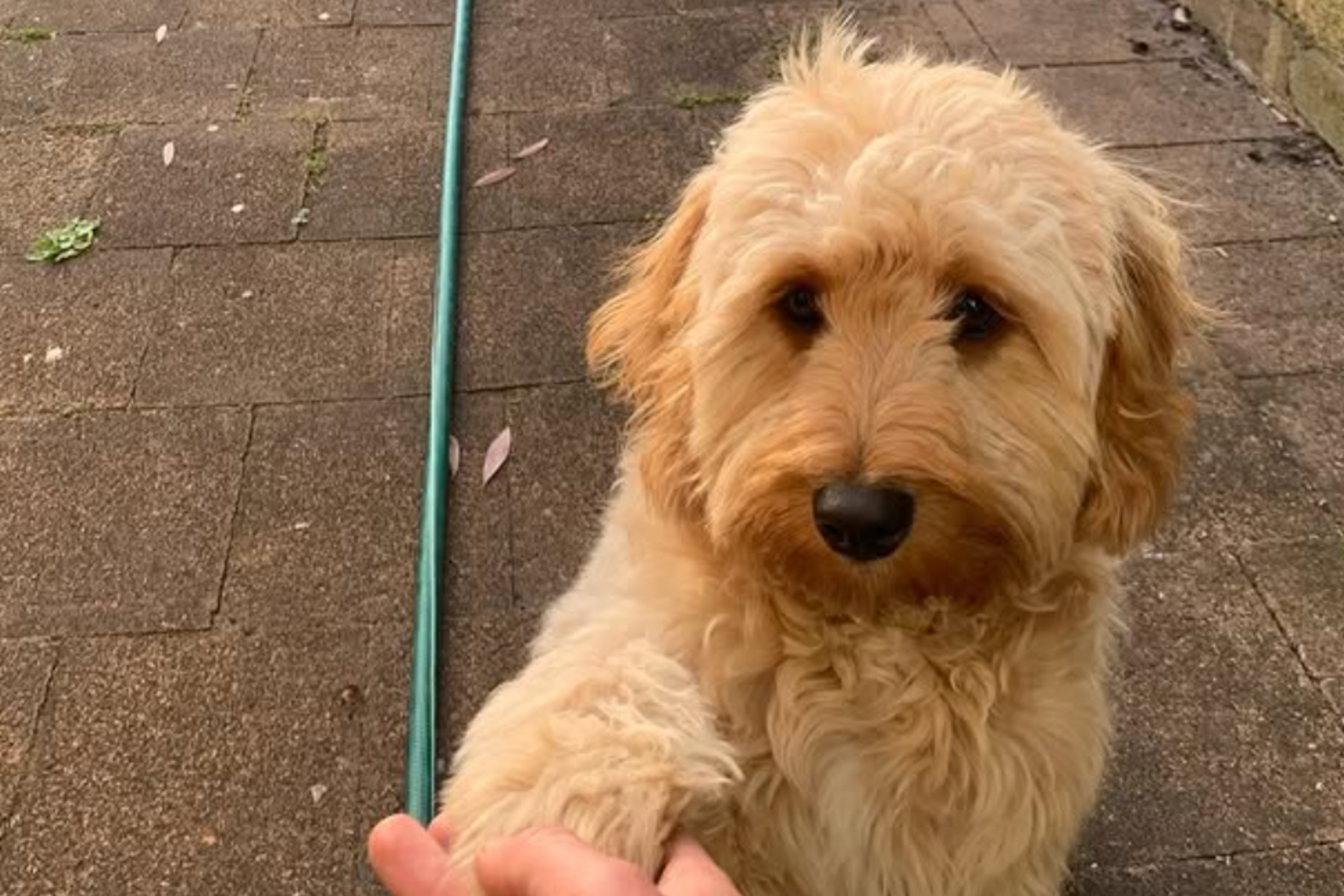 MPA Blogs Imagery (2).png