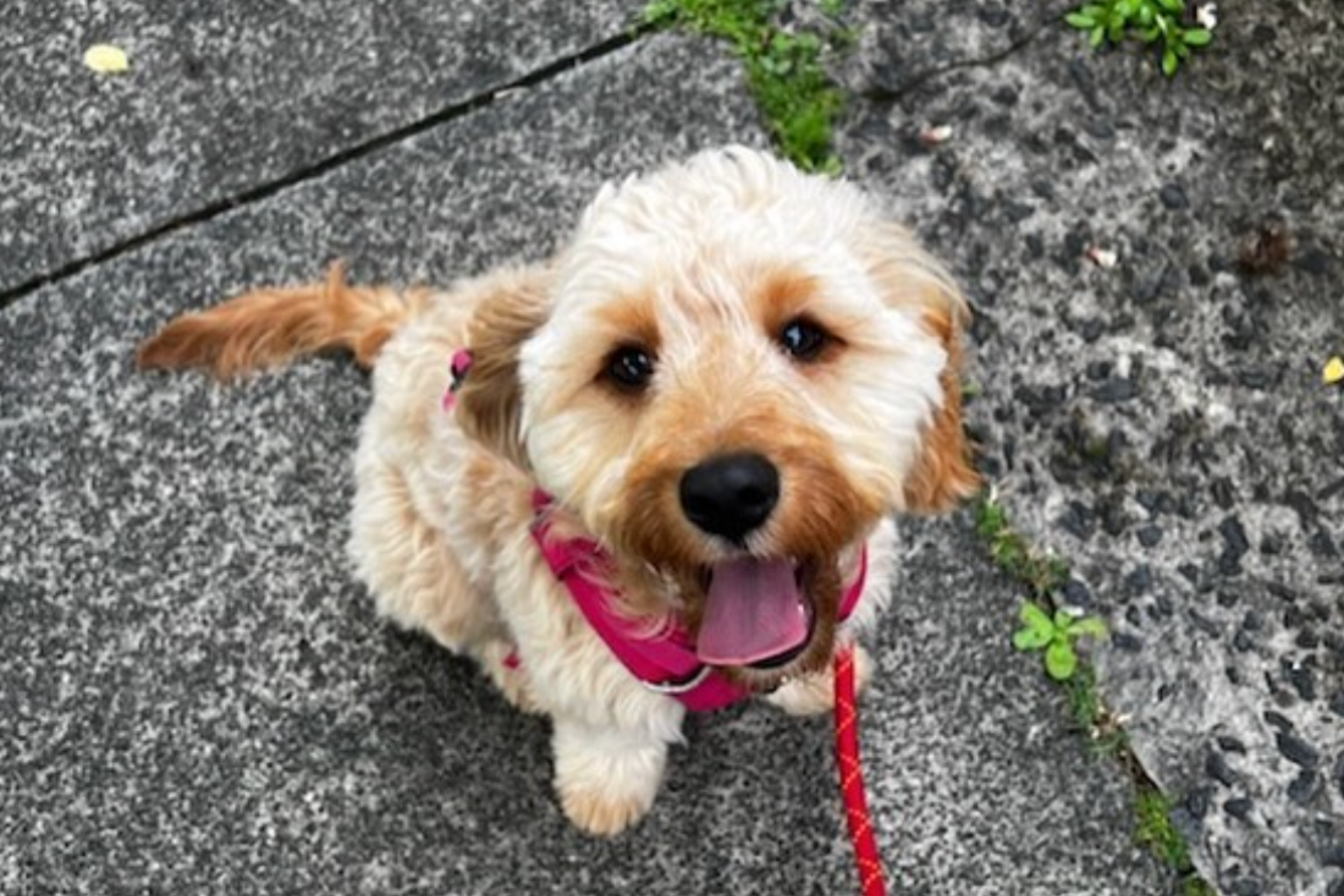 MPA Blogs Imagery (1) copy.png