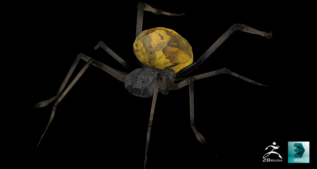 spider_01.jpg