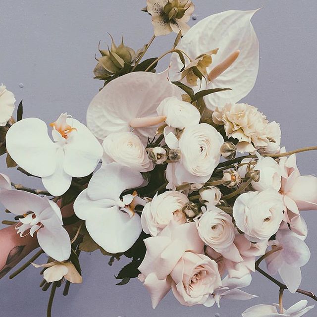 Beautiful blooms via @boutierre_girls 🌷 #flowers #love #fashion #orchid #stylist