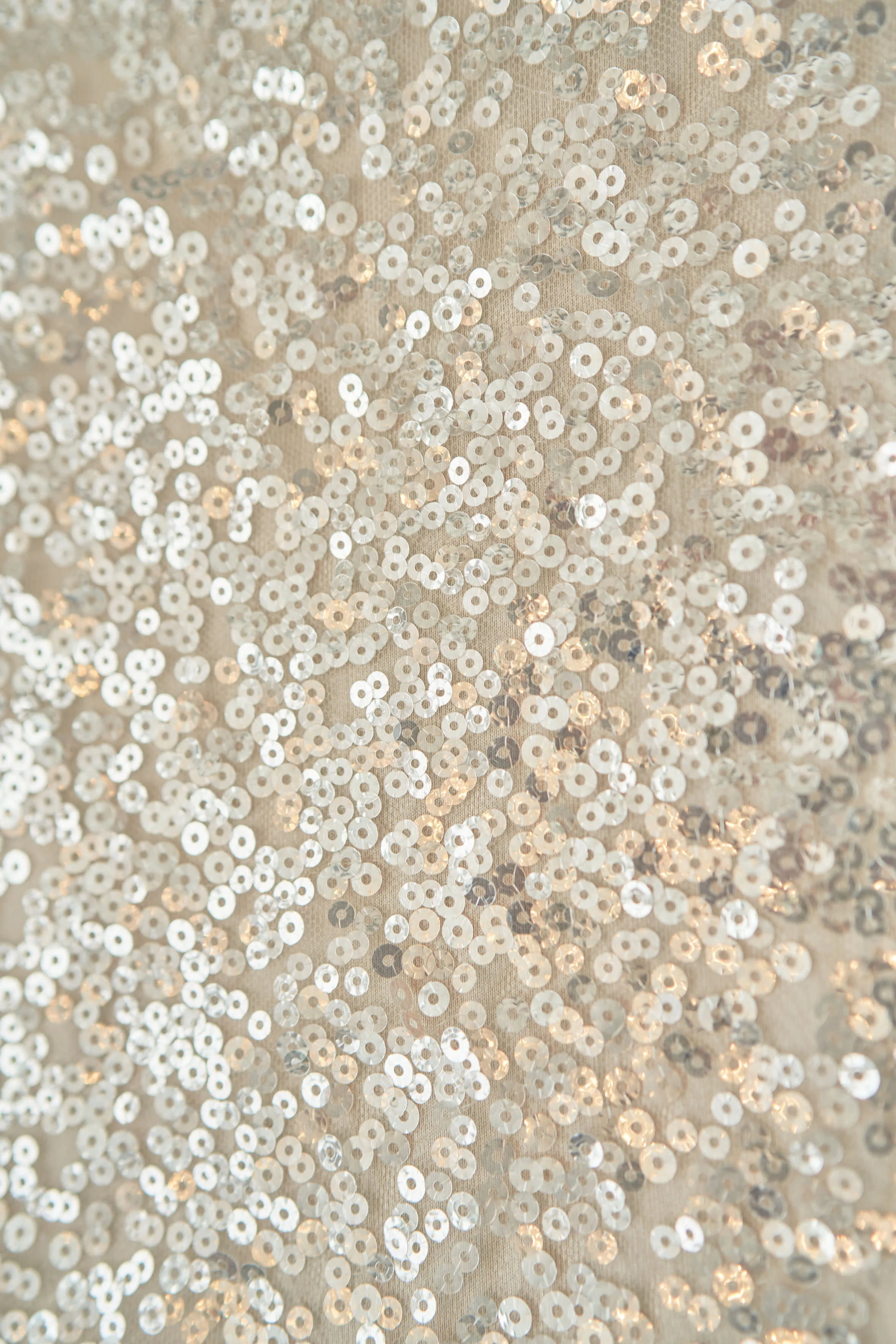 Bailey Both Close up 1.jpg