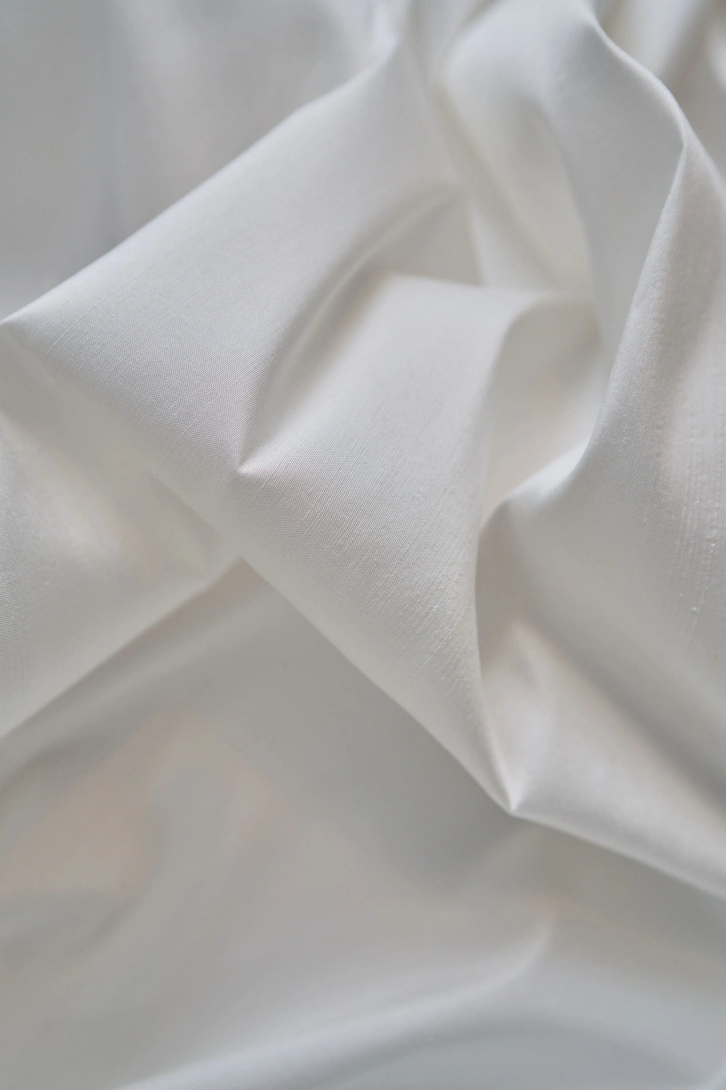 Ivory Dupion Sep 2020 3.jpg