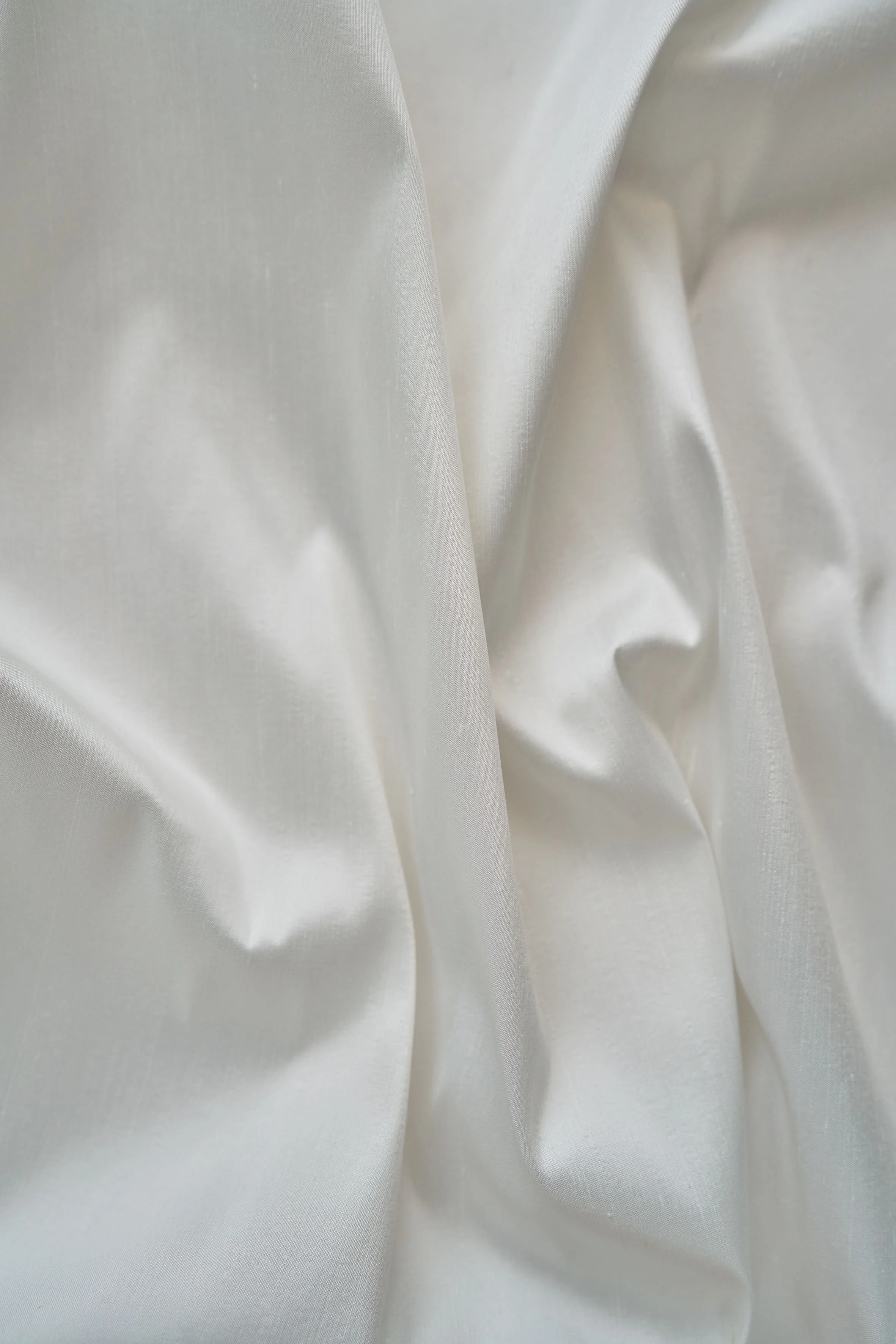 Ivory Dupion Sep 2020 5.jpg