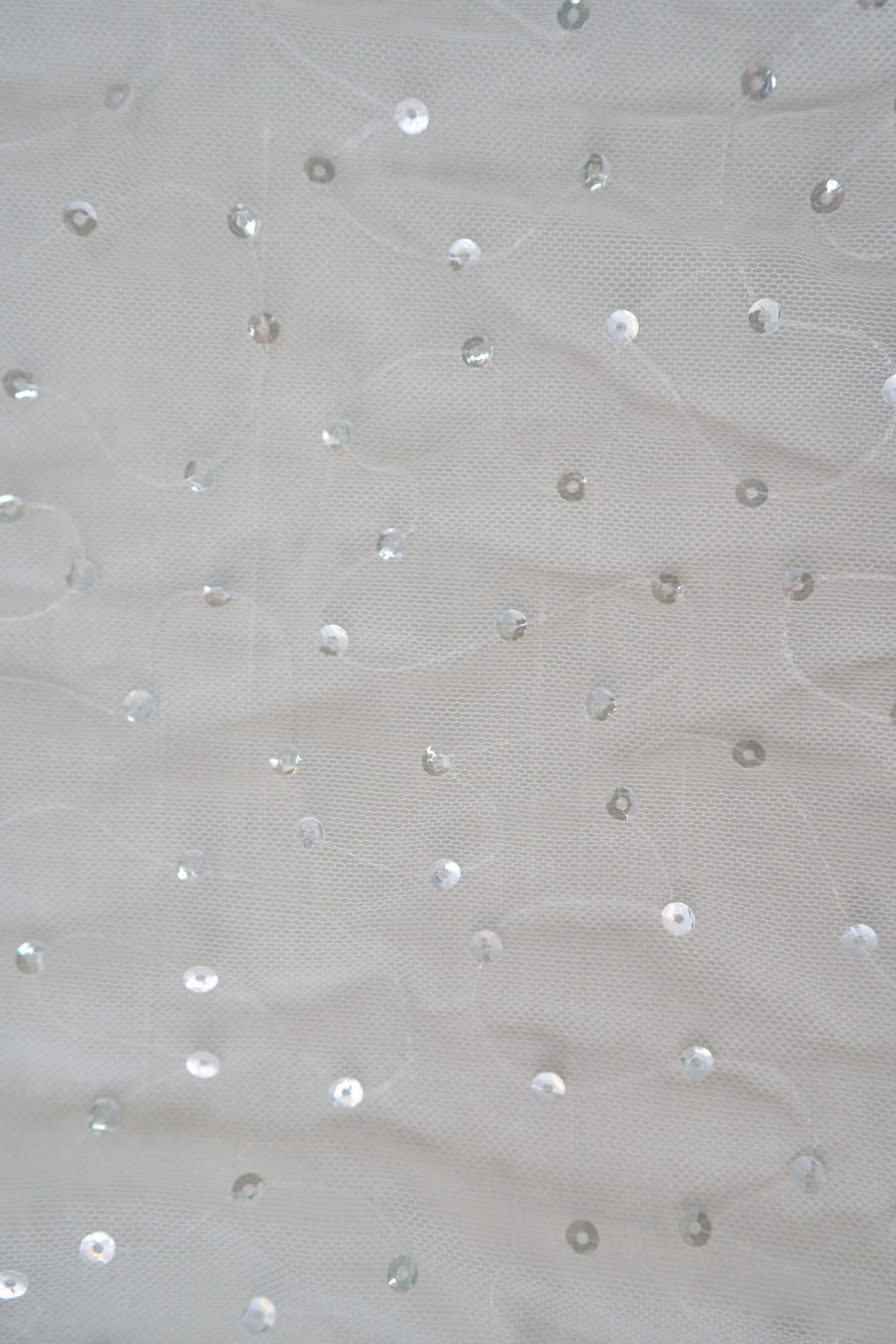 Elea Sequin Sep 2020 7.jpg