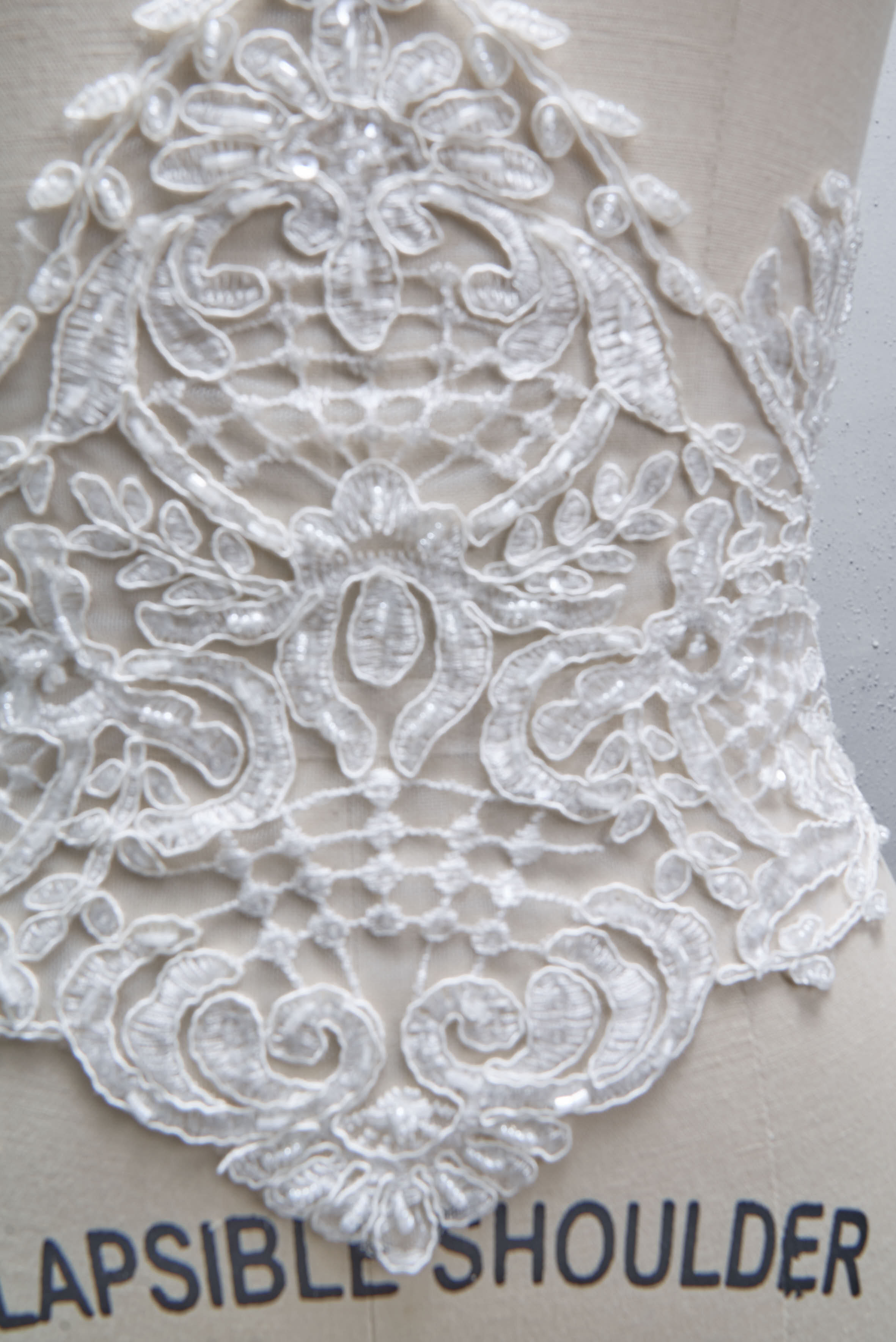 Wren 2 (shorter belt) Sep 2020 10.jpg