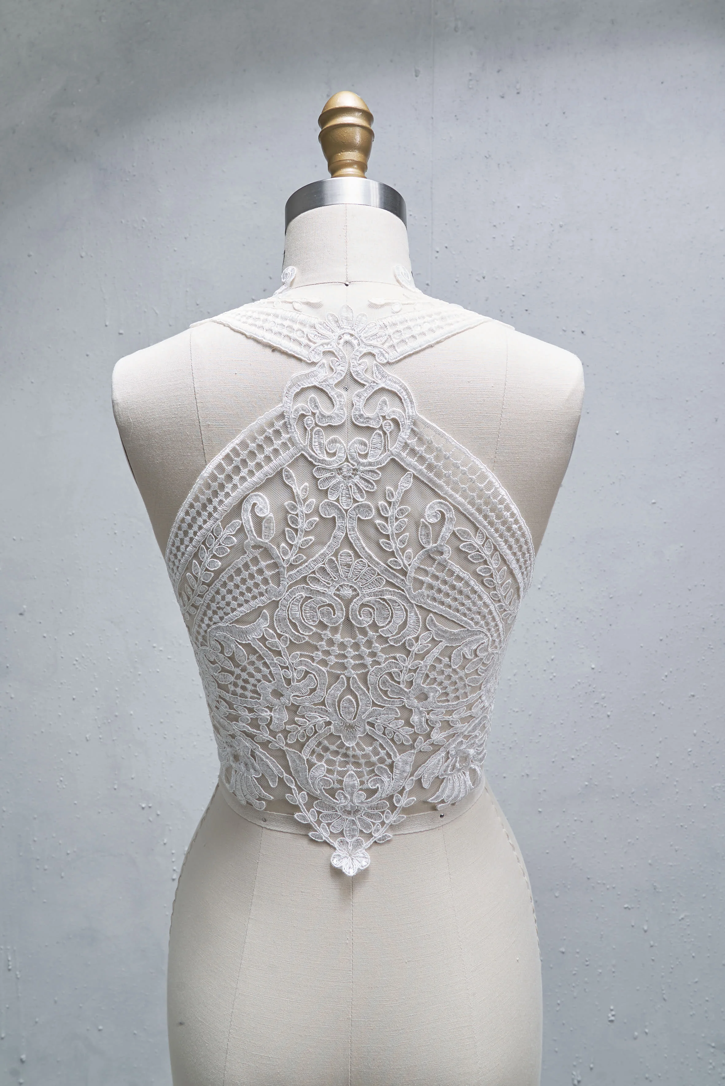 Wren 3 Sep 2020 1.jpg