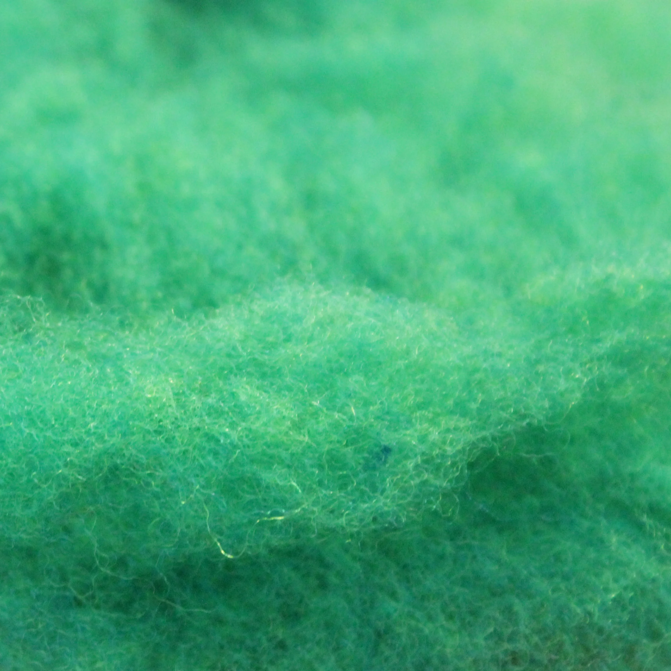 Hand-dyed green batt