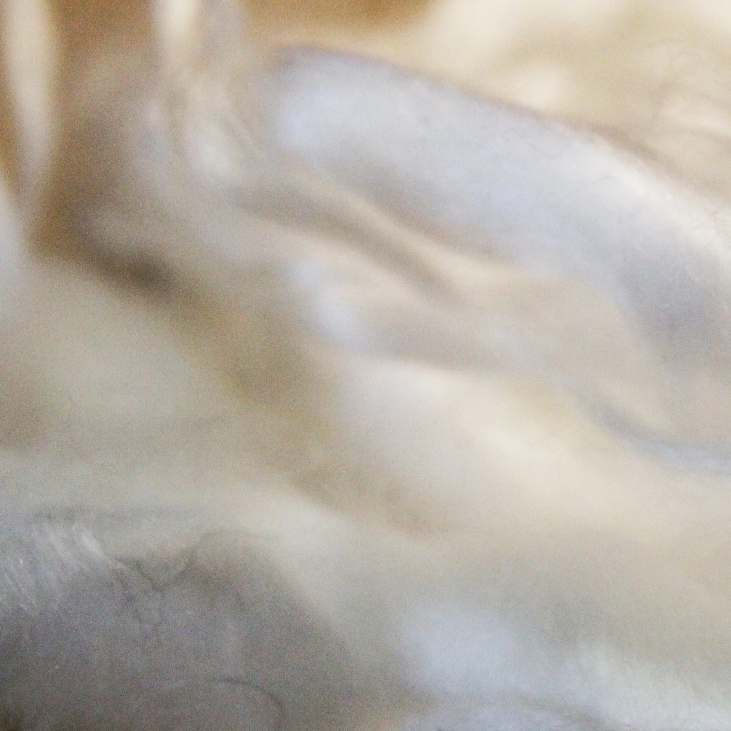 Silk fiber