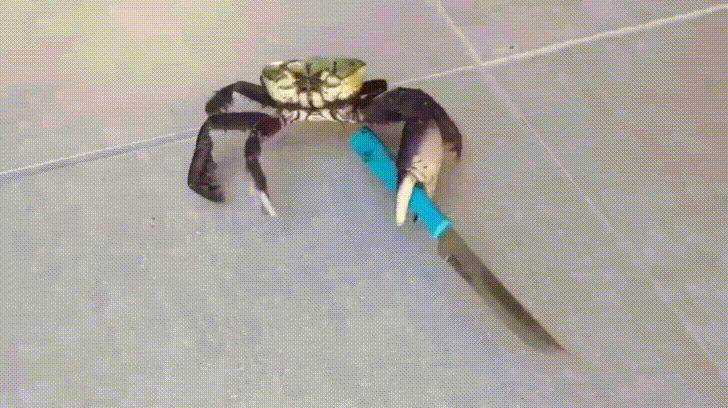 How some of us might feel by the time we head home - Crabby AND Stabby