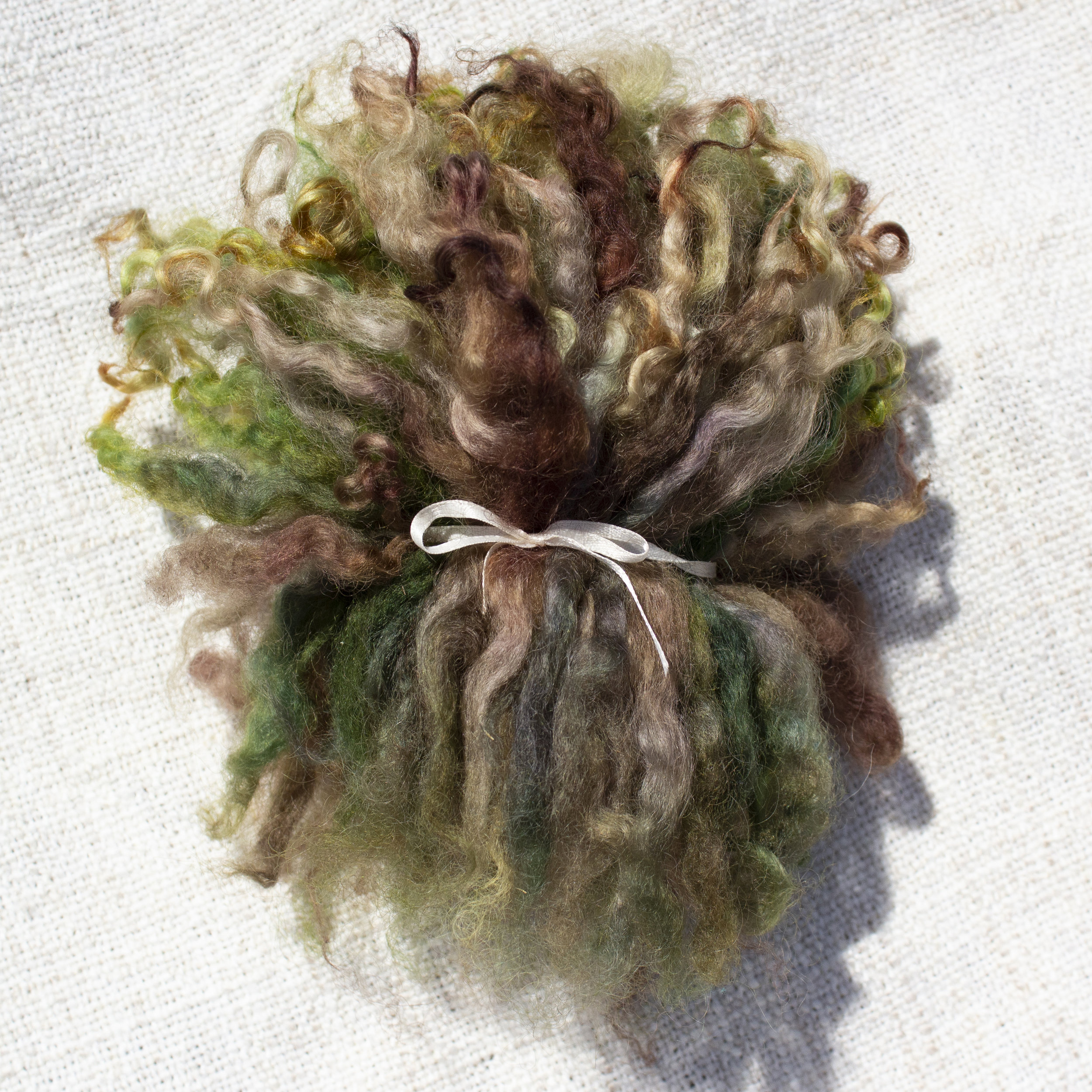 Wensleydale x Romney Locks - Woodland Elf