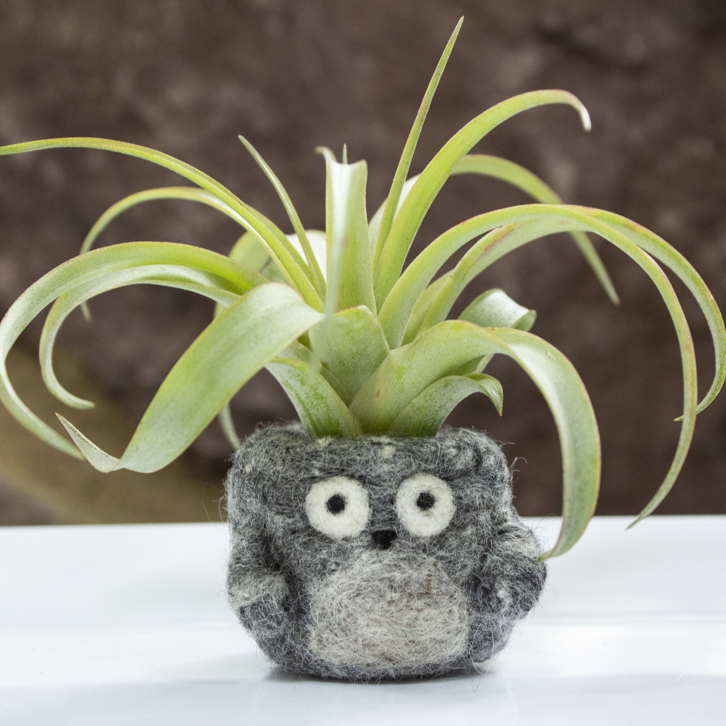 Felt Air Plant PotHeads - Forest Spirit