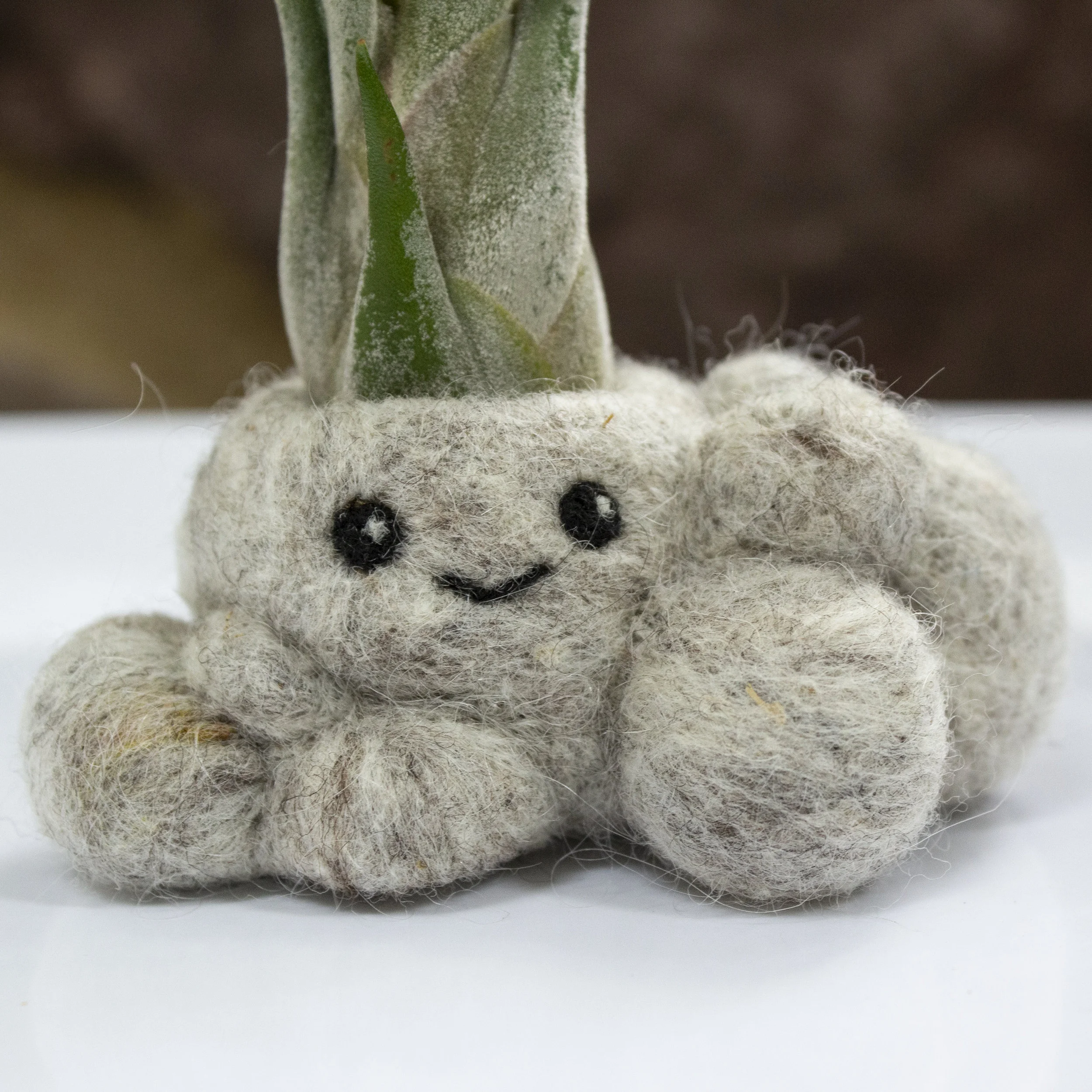 Felt Air Plant PotHeads - Rocky