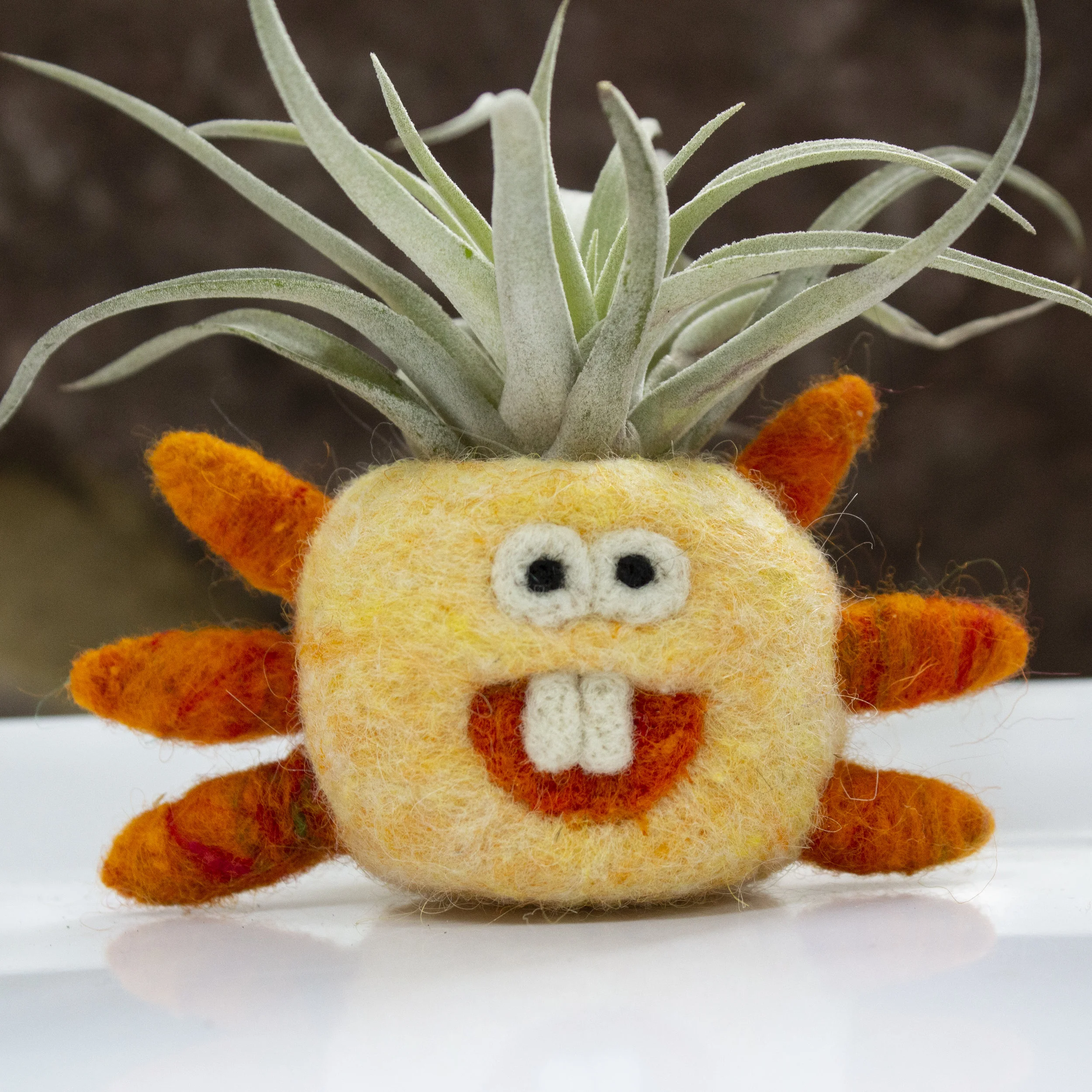 Felt Air Plant PotHeads - Sunny
