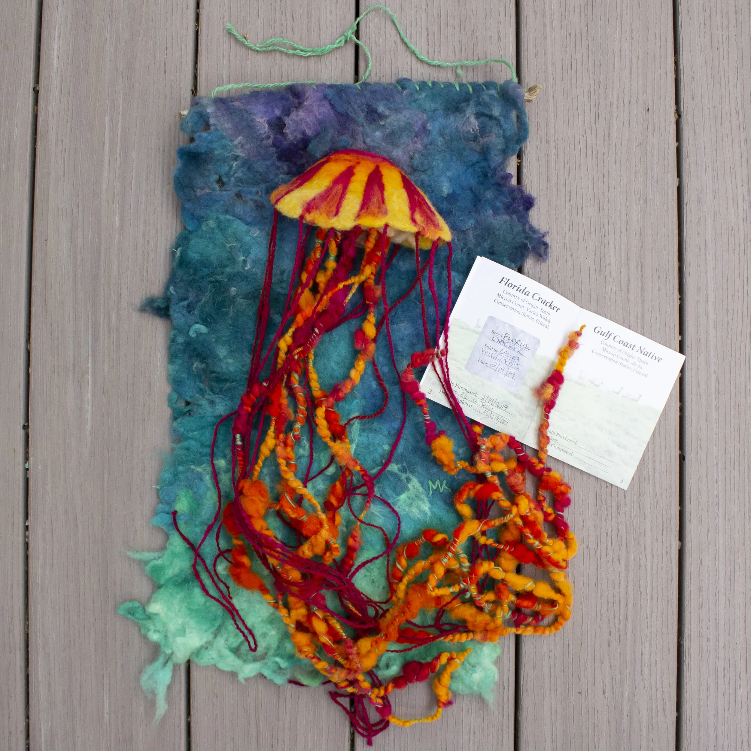 Florida Jelly by Magi Kern (May 2019)