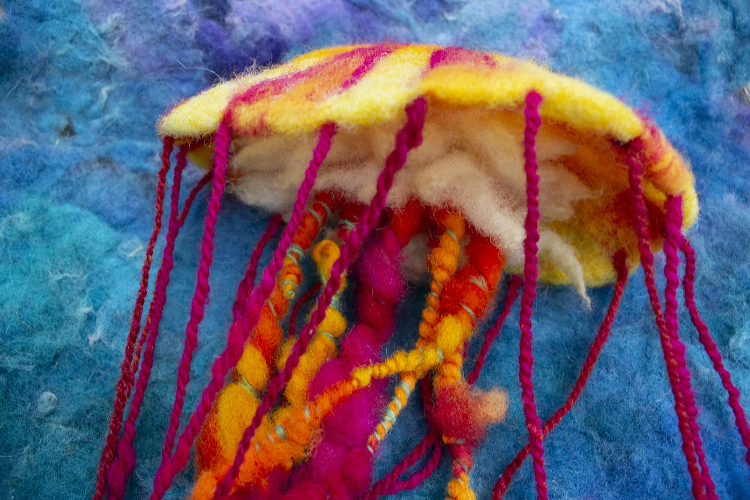 Florida Jelly by Magi Kern (May 2019)