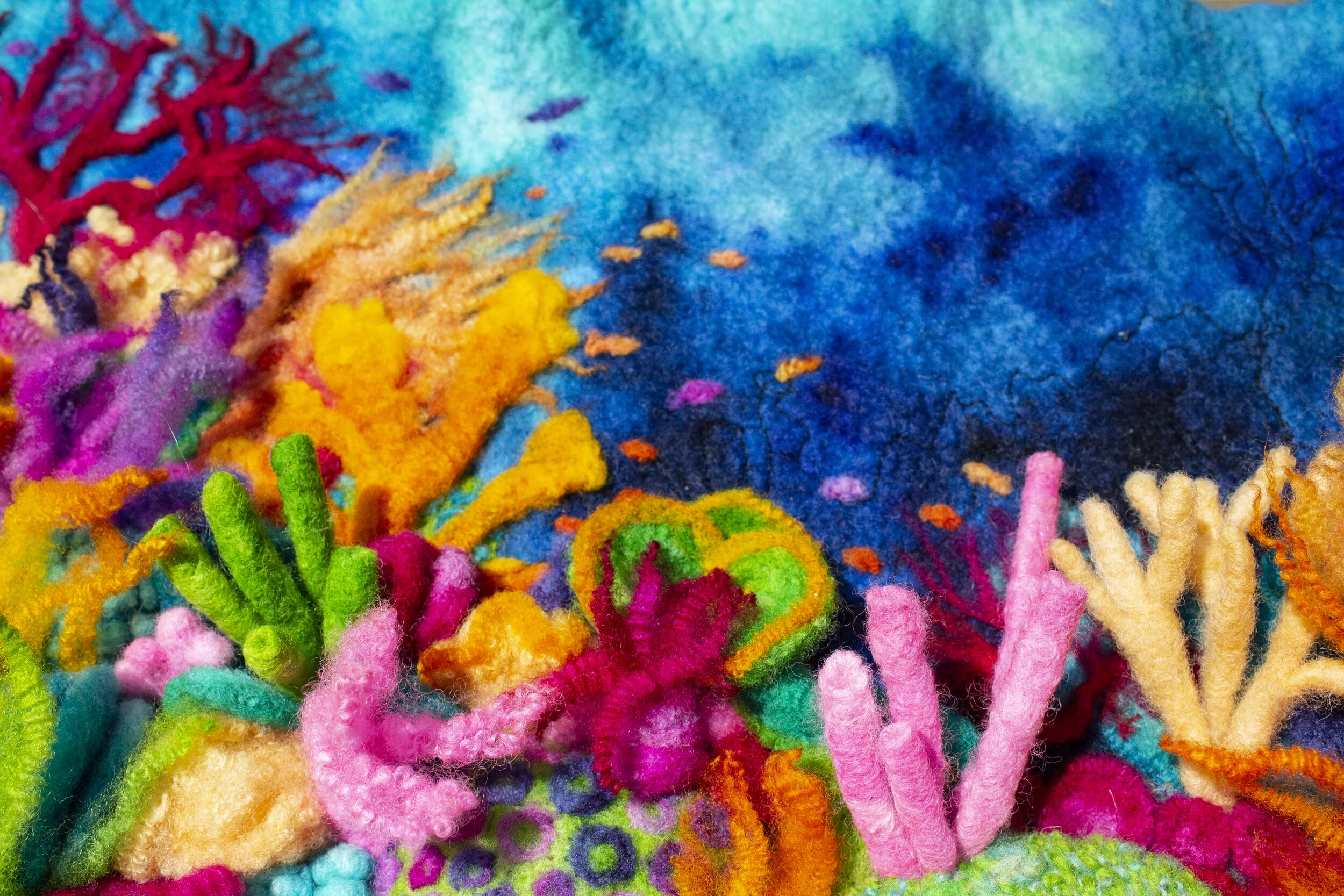 Coral Coast by Magi Kern (June 2019)