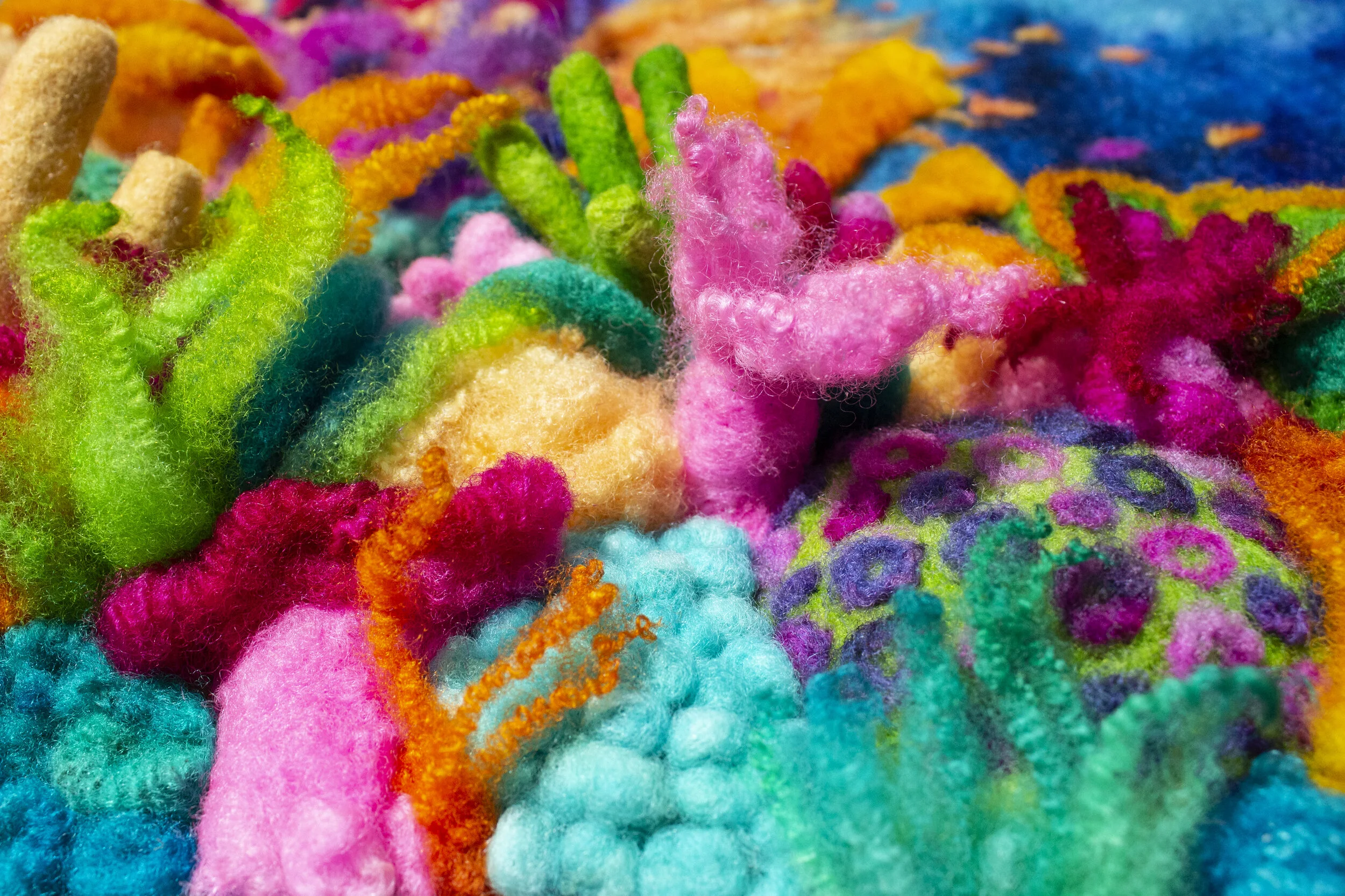 Coral Coast by Magi Kern (June 2019)