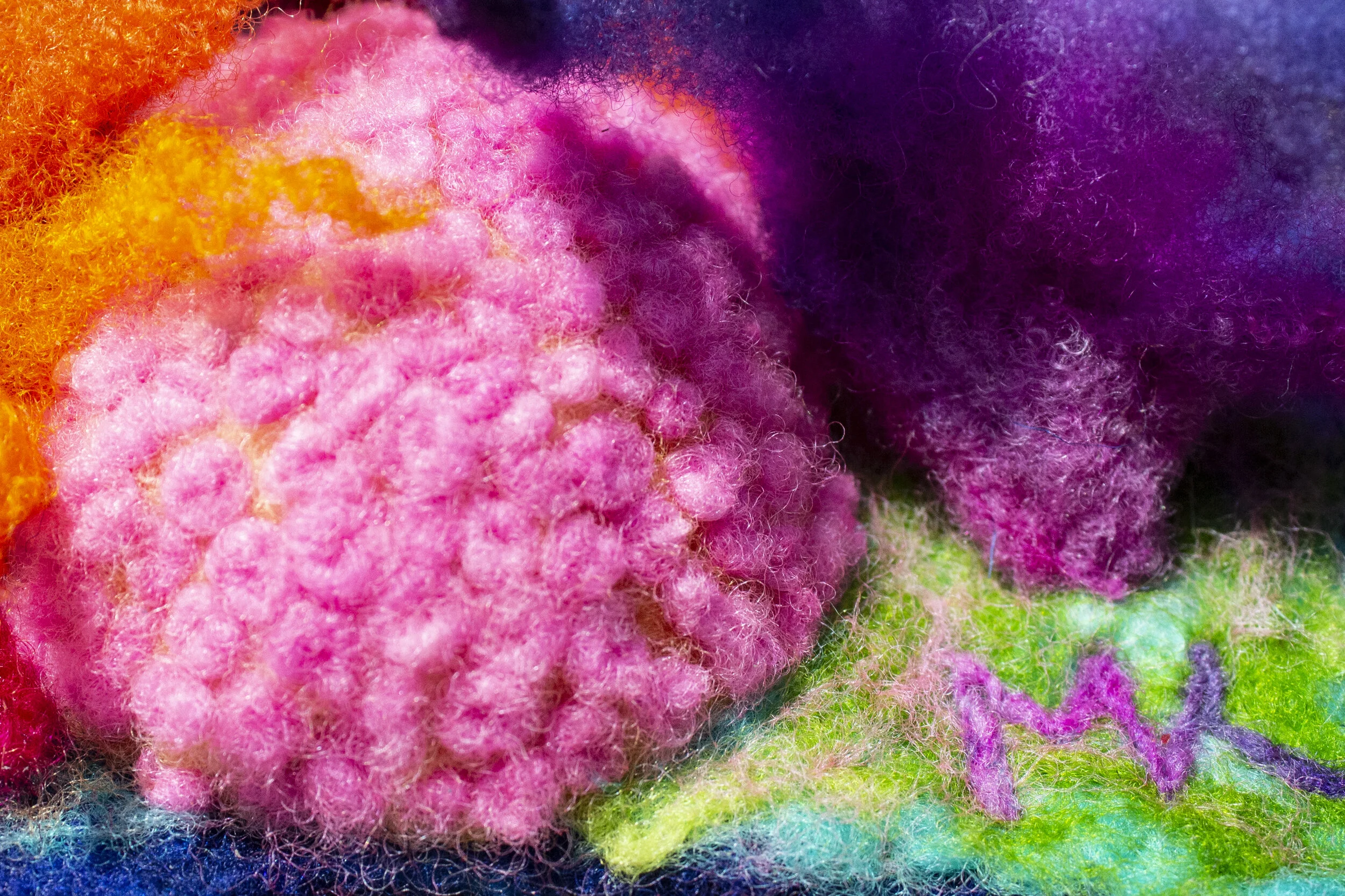 Coral Coast by Magi Kern (June 2019)