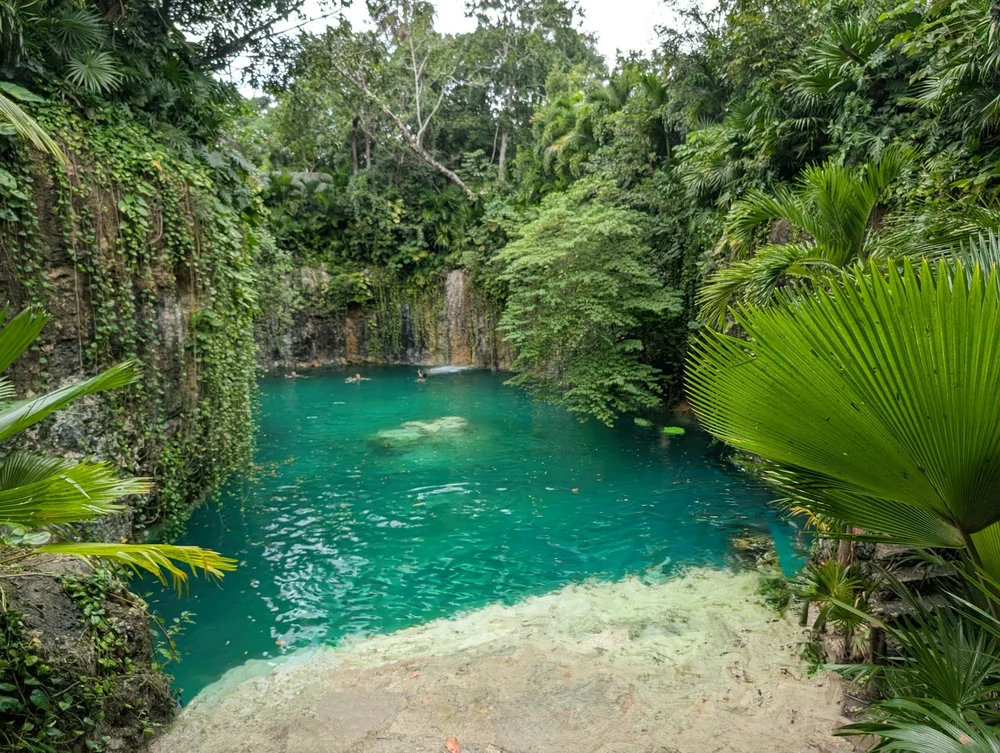 A turquoise cenote surrounded by jungle