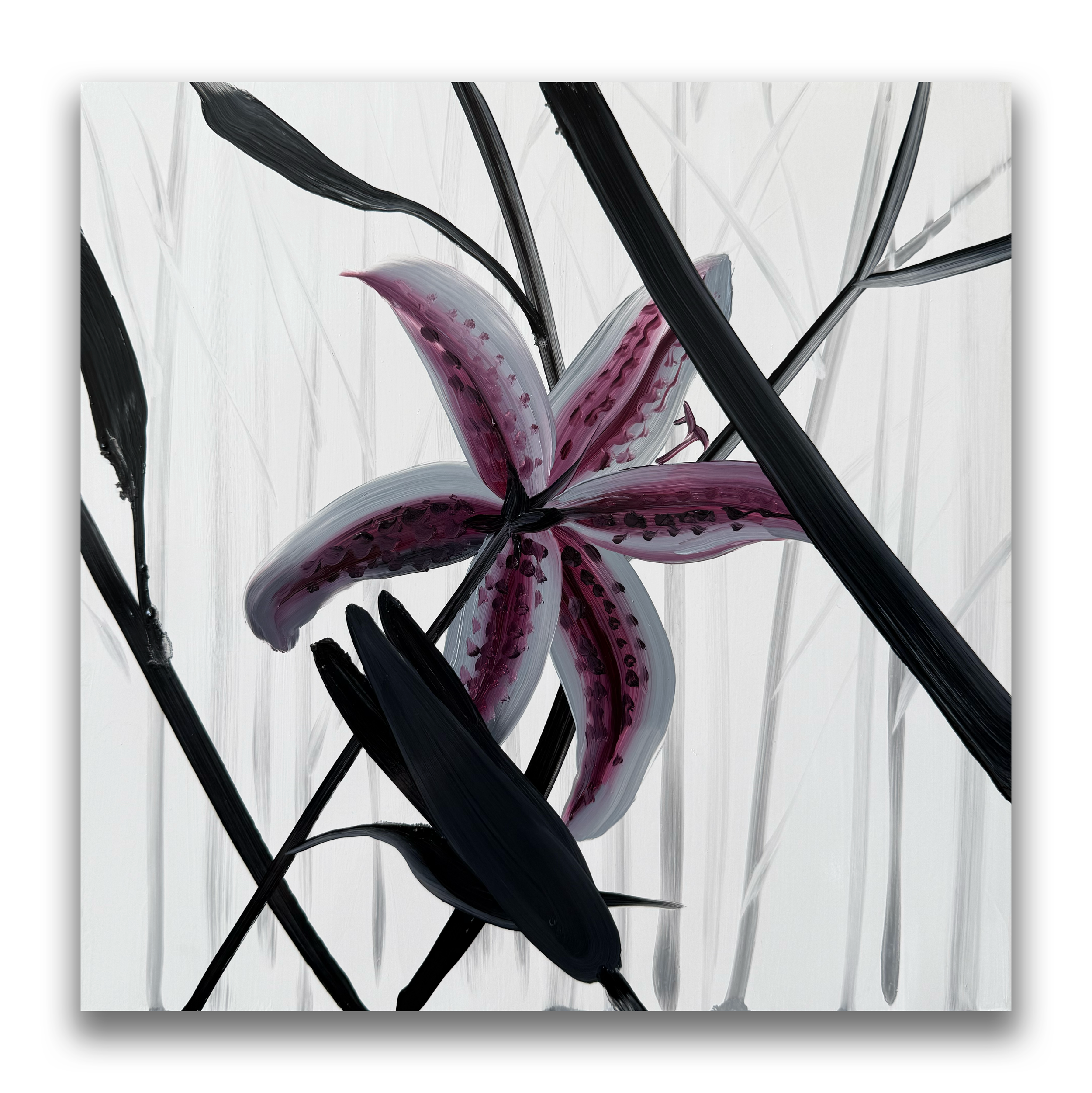 Backlit Lily