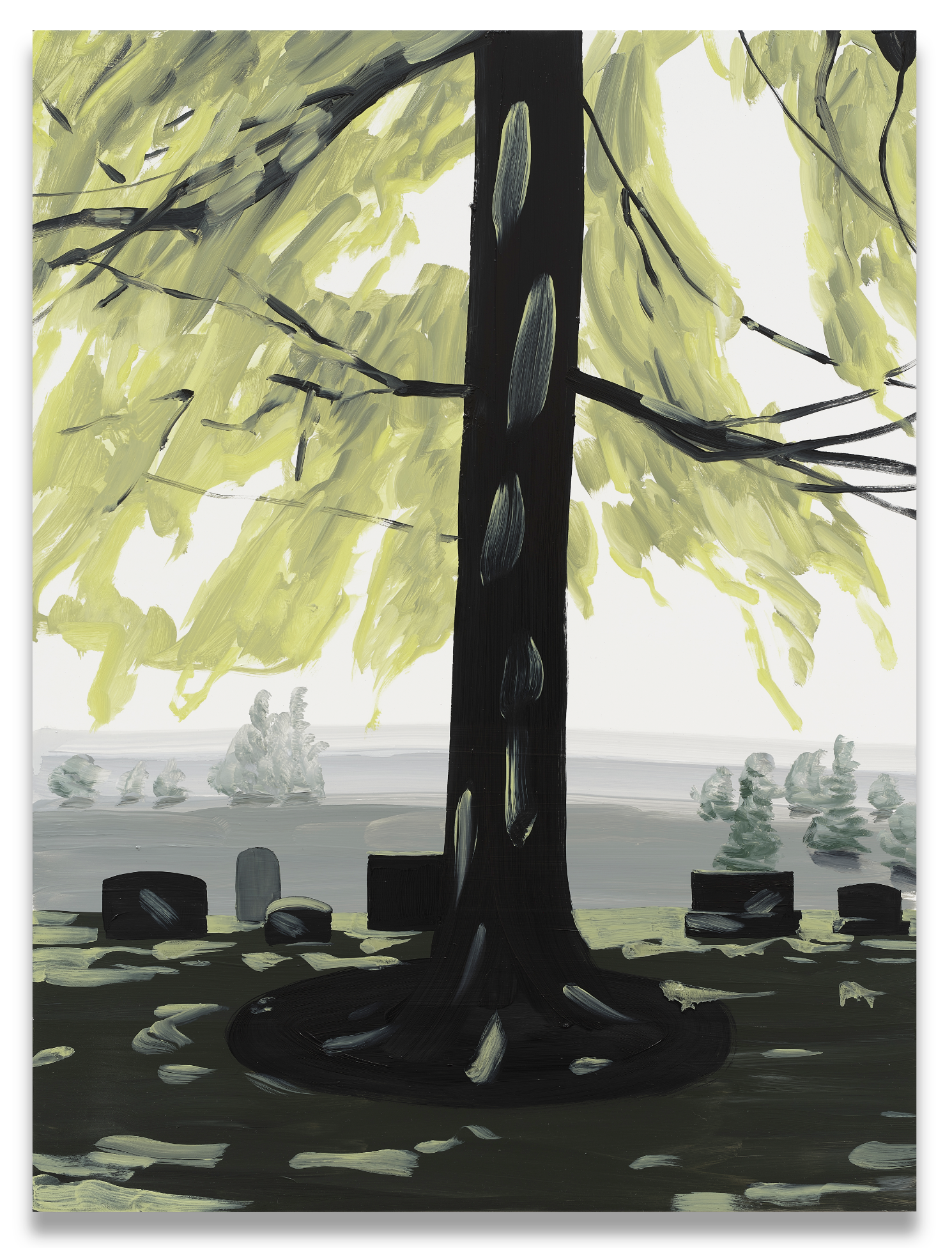 Shadow Tree Winter.png