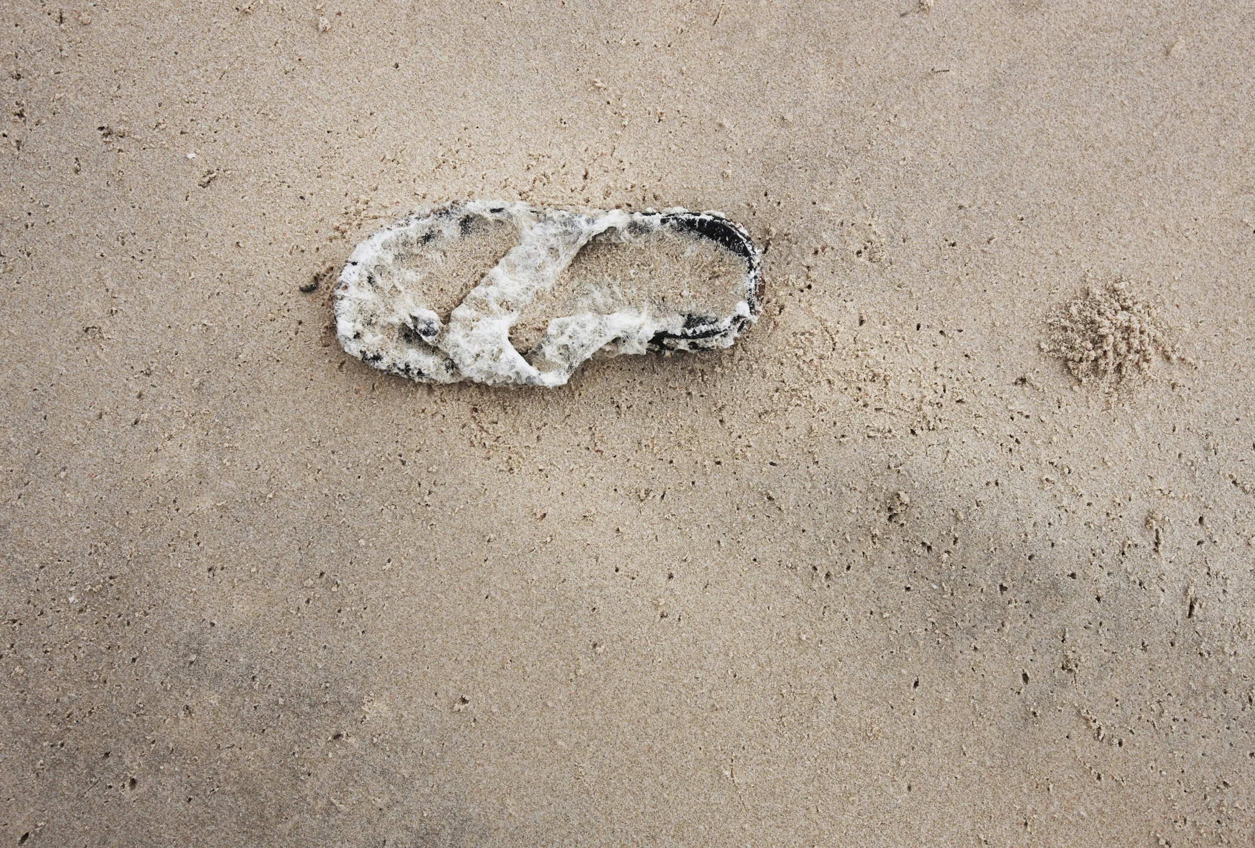 Thong_0919_flat.jpg