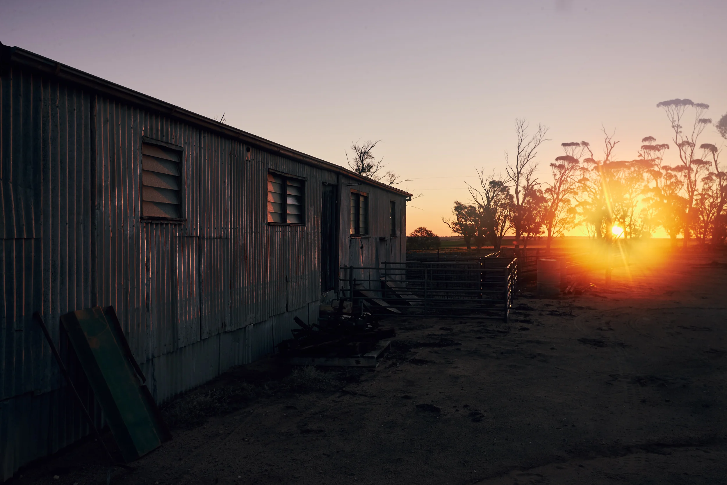 BANKWEST_FARM_7537.jpg