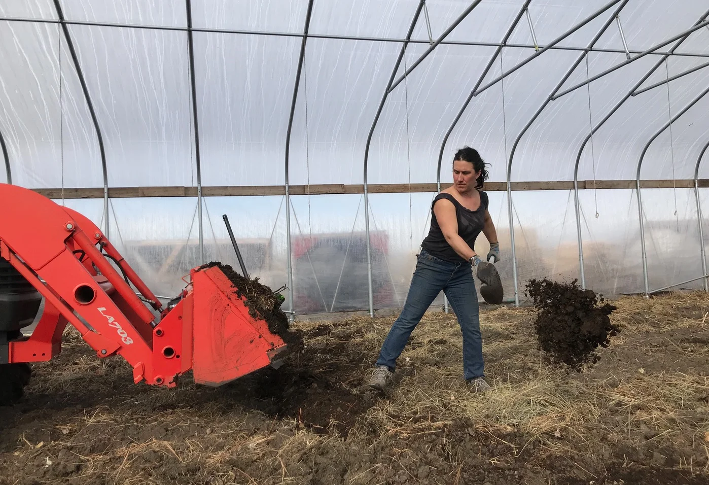 Mary shovels compost from our tractor bucket.