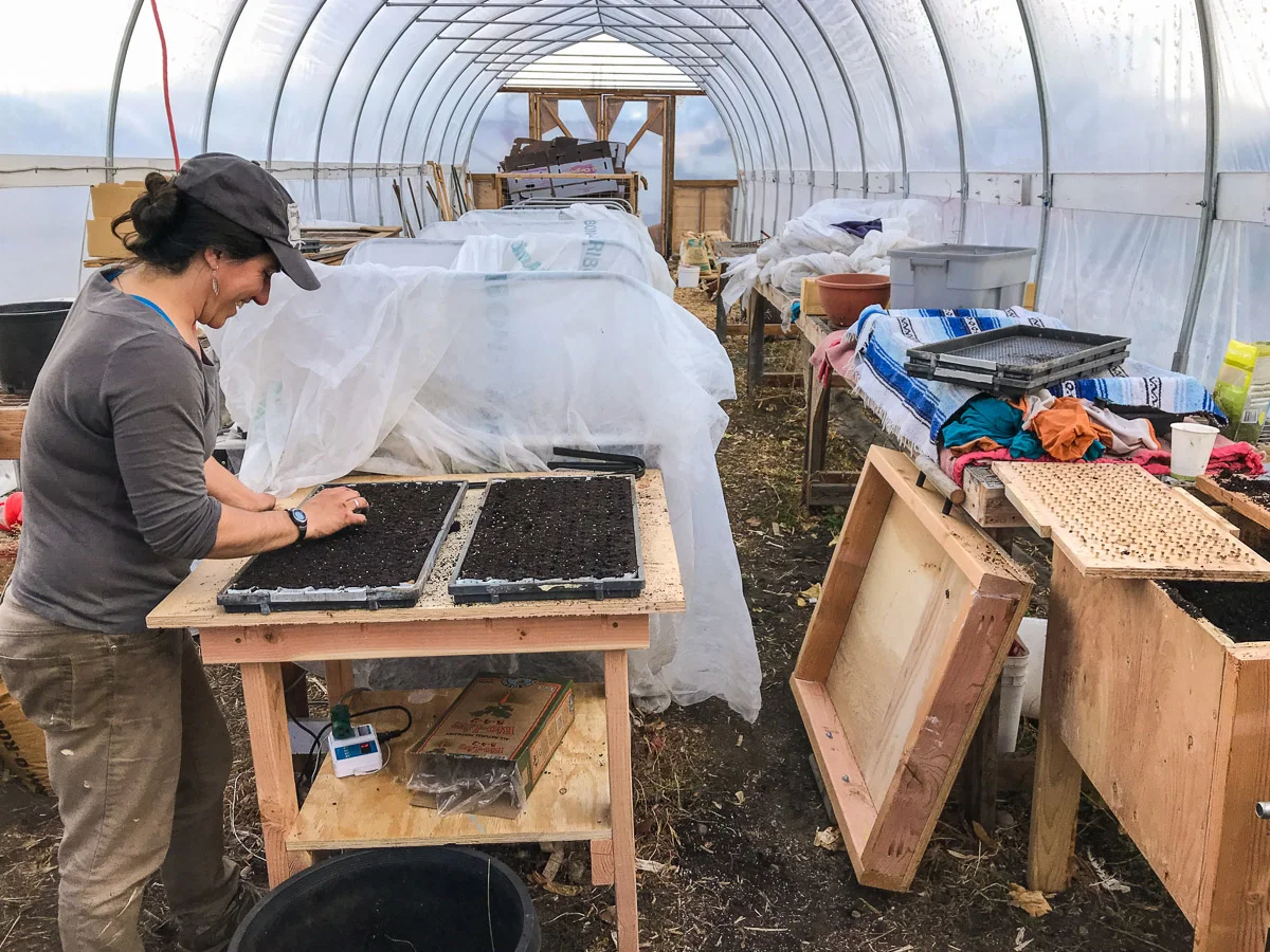 Countdown to Market, Last Chance for Spring Membership, and a Yurtwarming