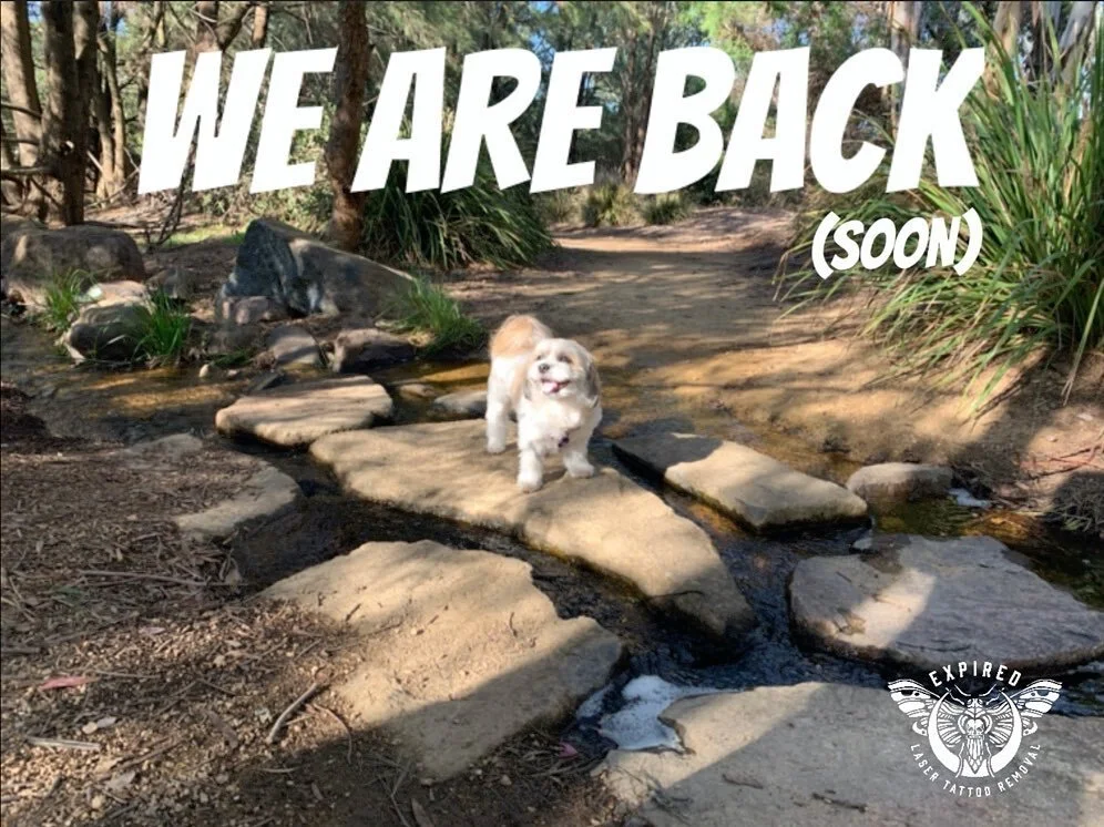 JUNE 4th WE ARE BACK!
To smudge yourself a booking please send us an email info@expiredlaserstudio.com (please no DM’s on insta or calls to the shop as there is no one in store until the 4th).
As we come back we will be by appointment only and
