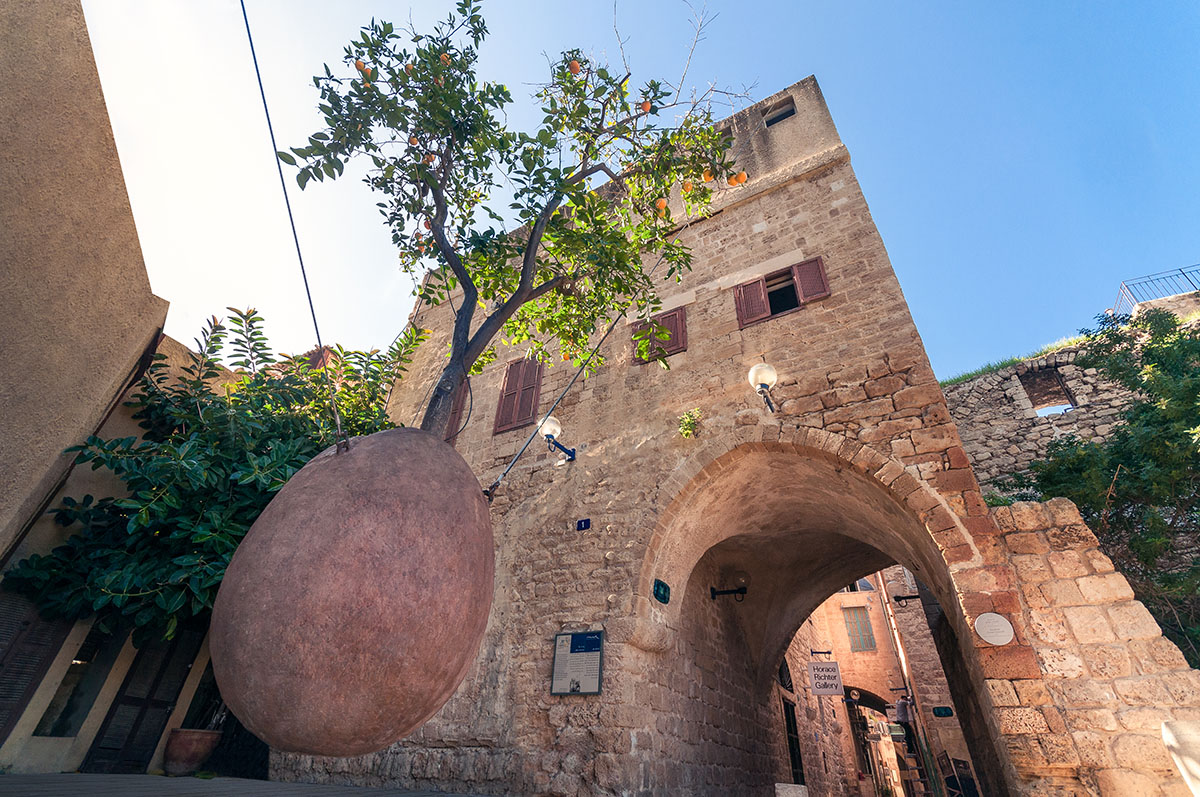 IDG_0340-Edit.jpg