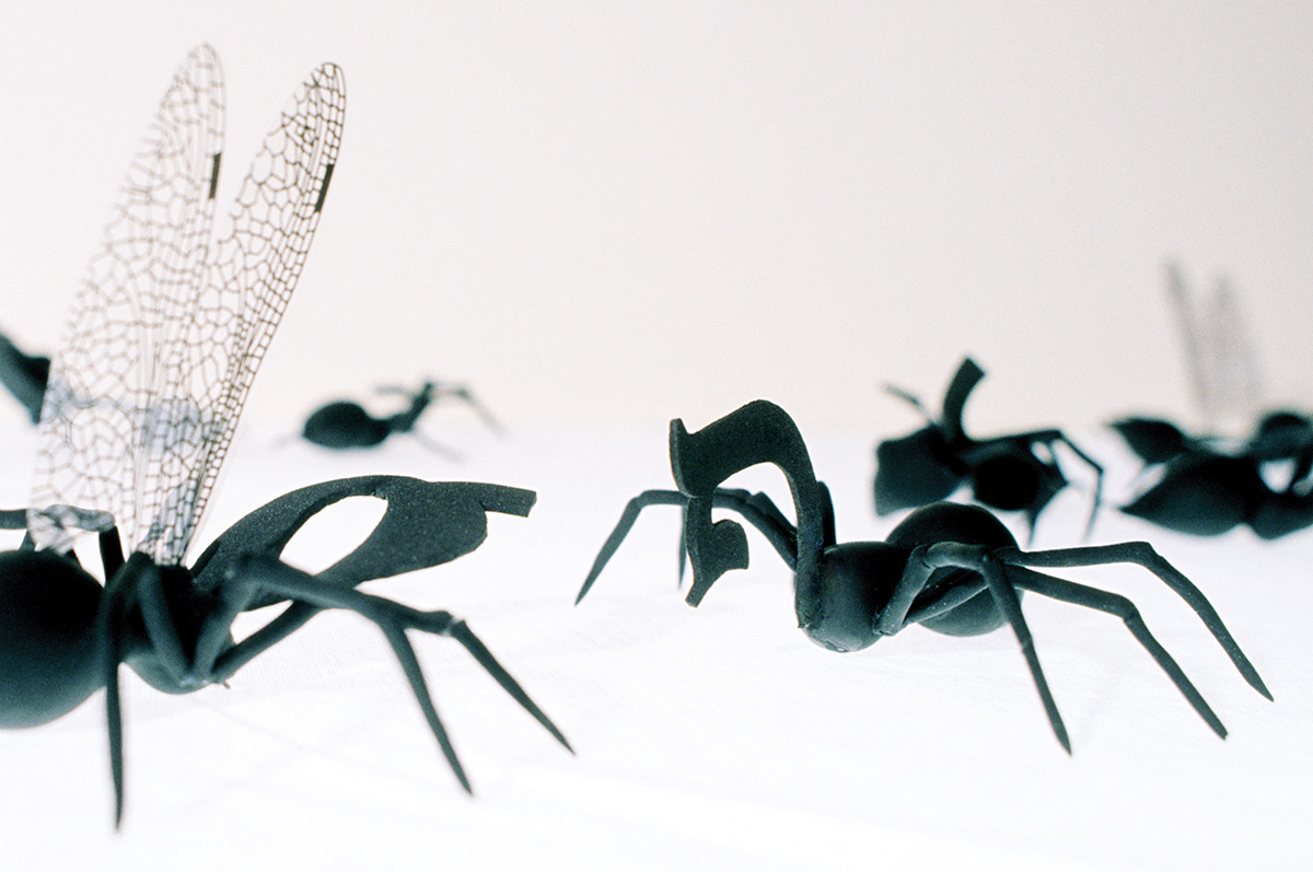 Ants.jpg