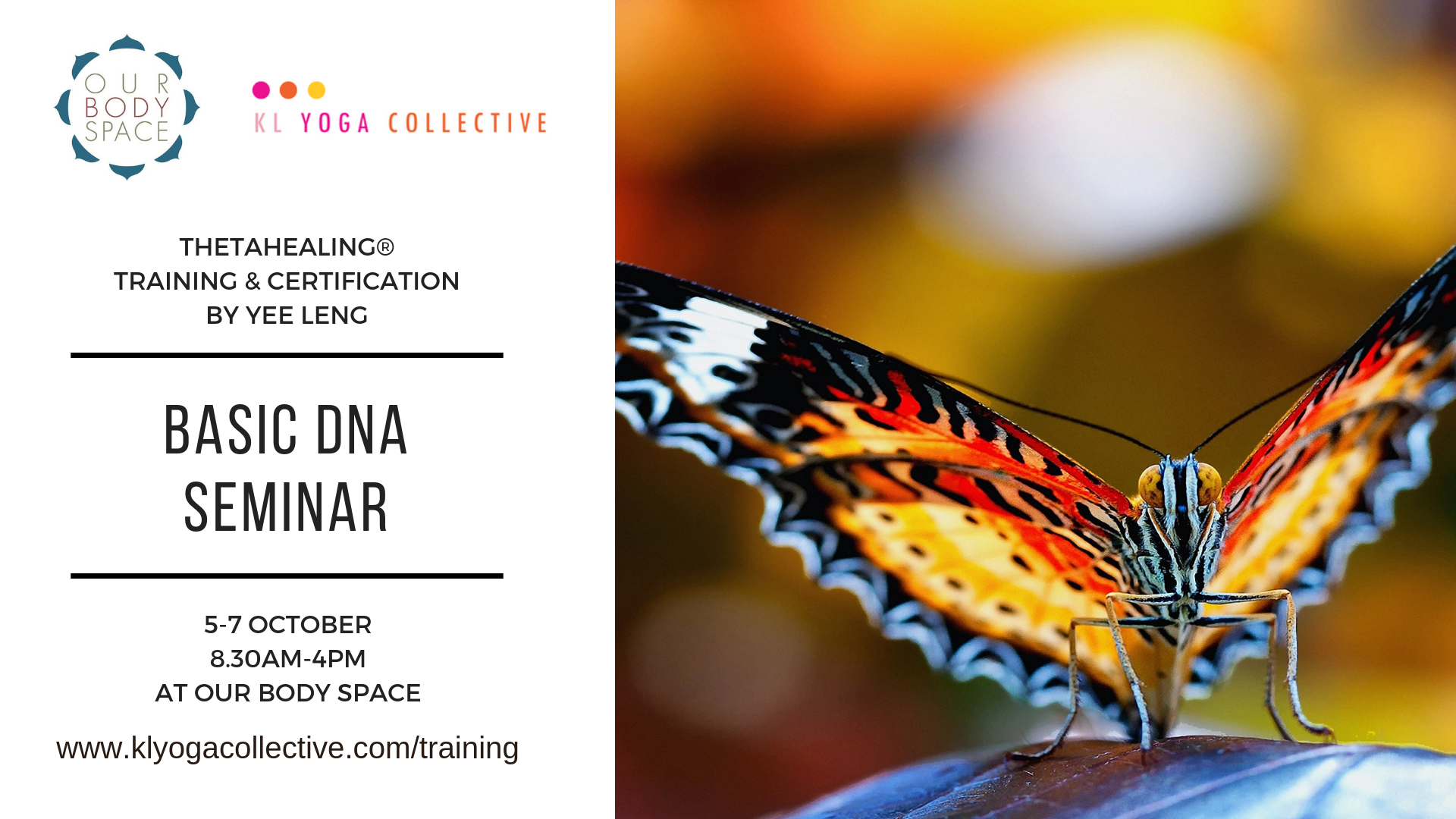 Banner_DNA Basic_Oct18.png