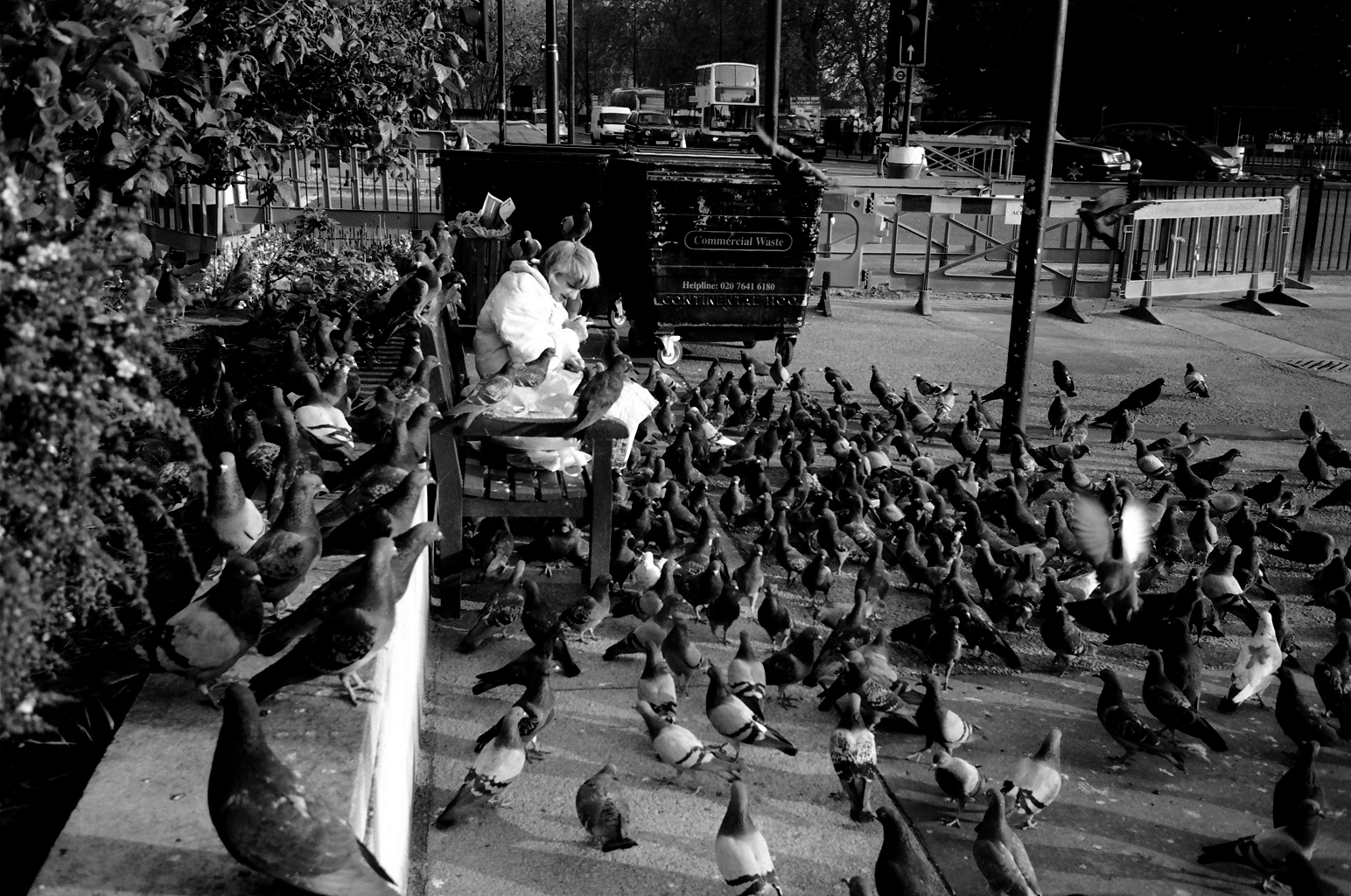 Justin Ivan Hong - Photography 02