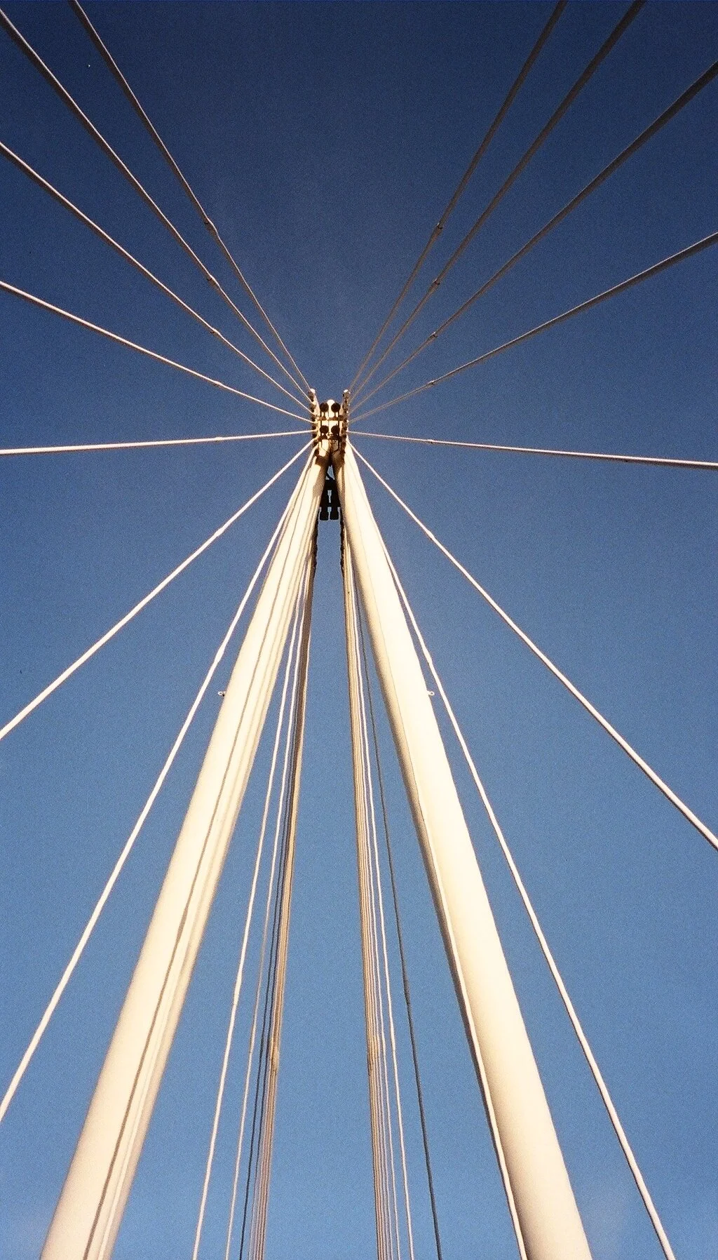 Justin Ivan Hong - Photography 11