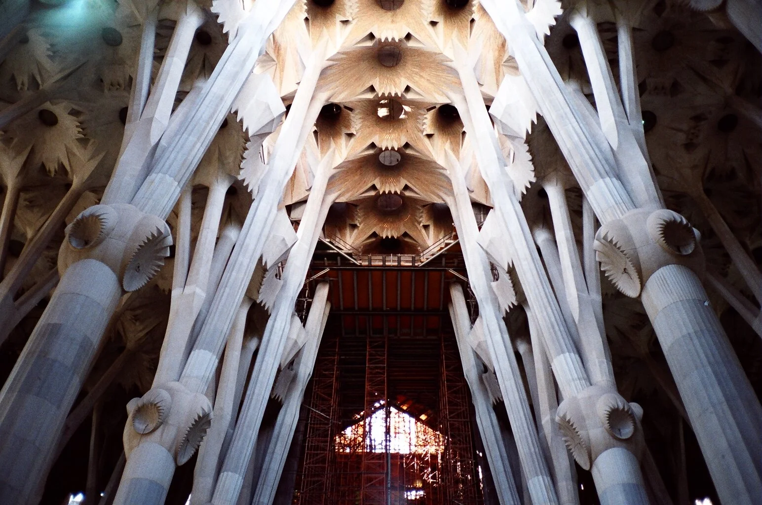 Justin Ivan Hong - Photography 08