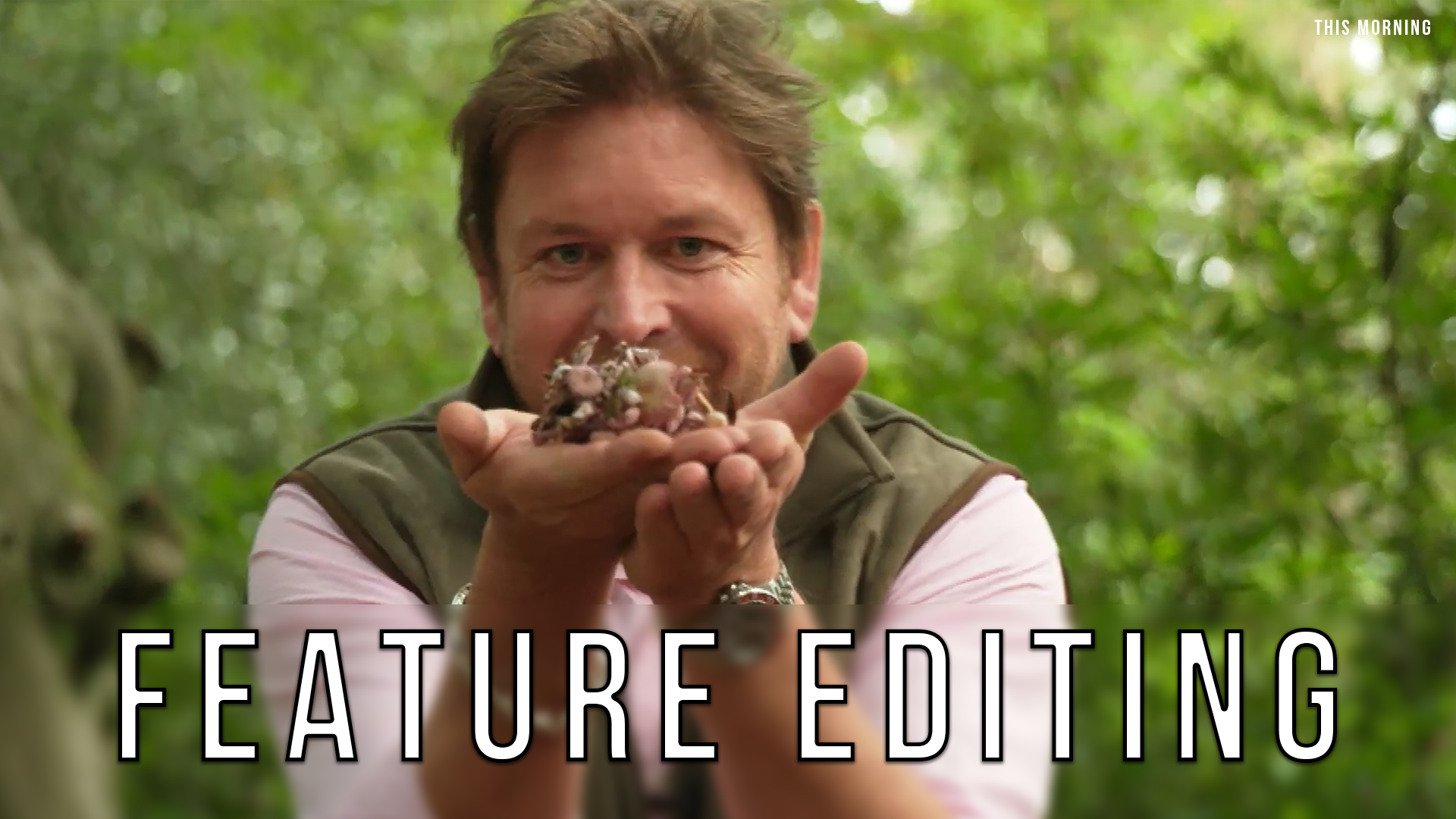 Feature Editing.png