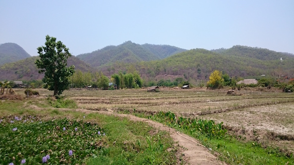 We've Worked in... Pai