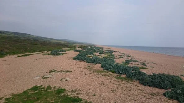 Home Again, Home Again