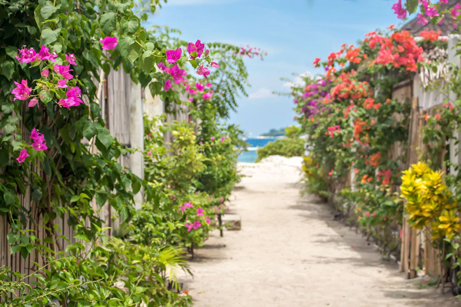 Flowers-AVIA-VILLA-RESORT.jpg