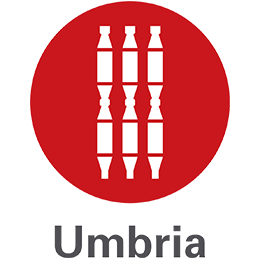 Logo Regione Umbria - Tourismo.png