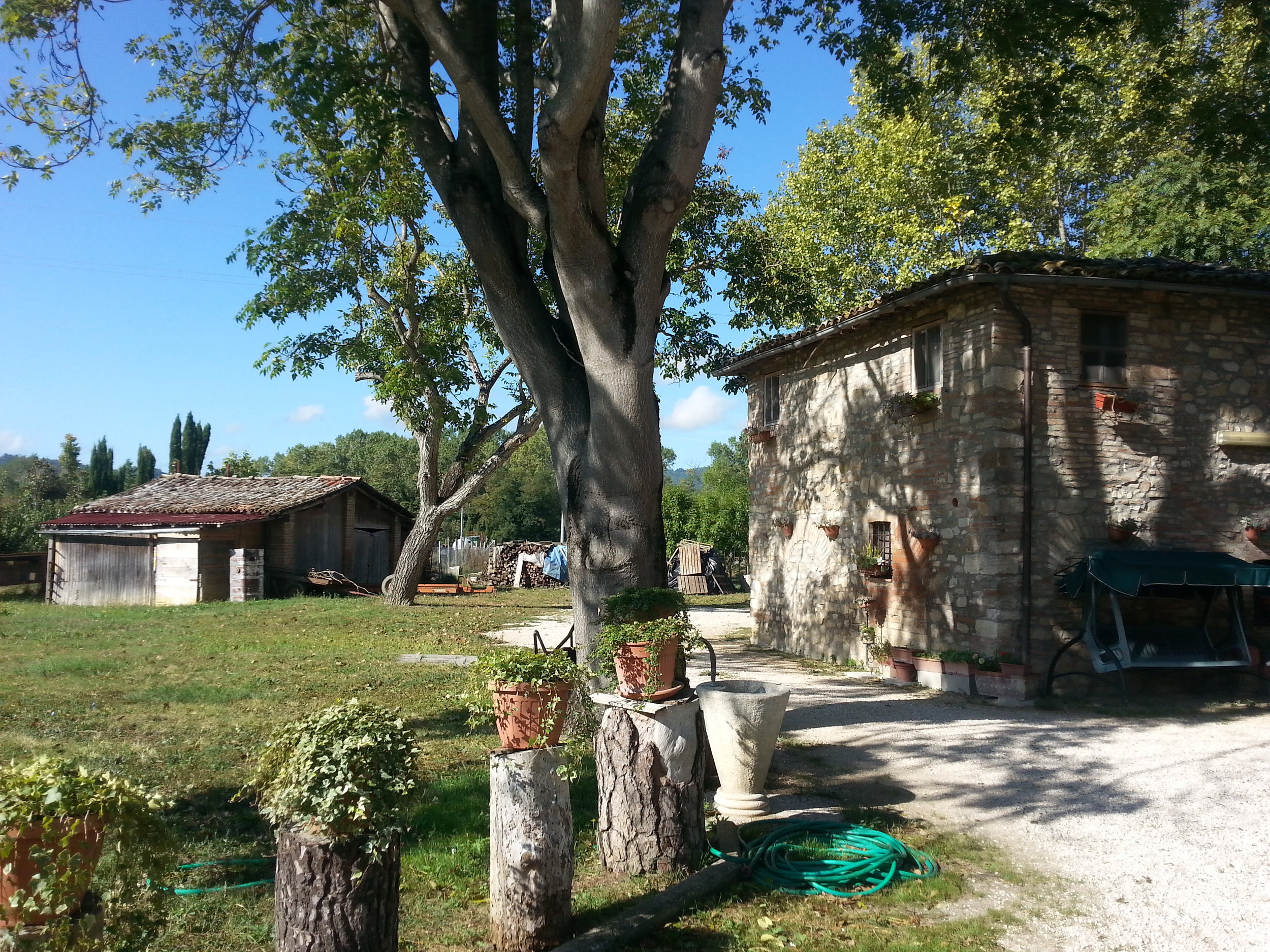 20151003_104420.jpg