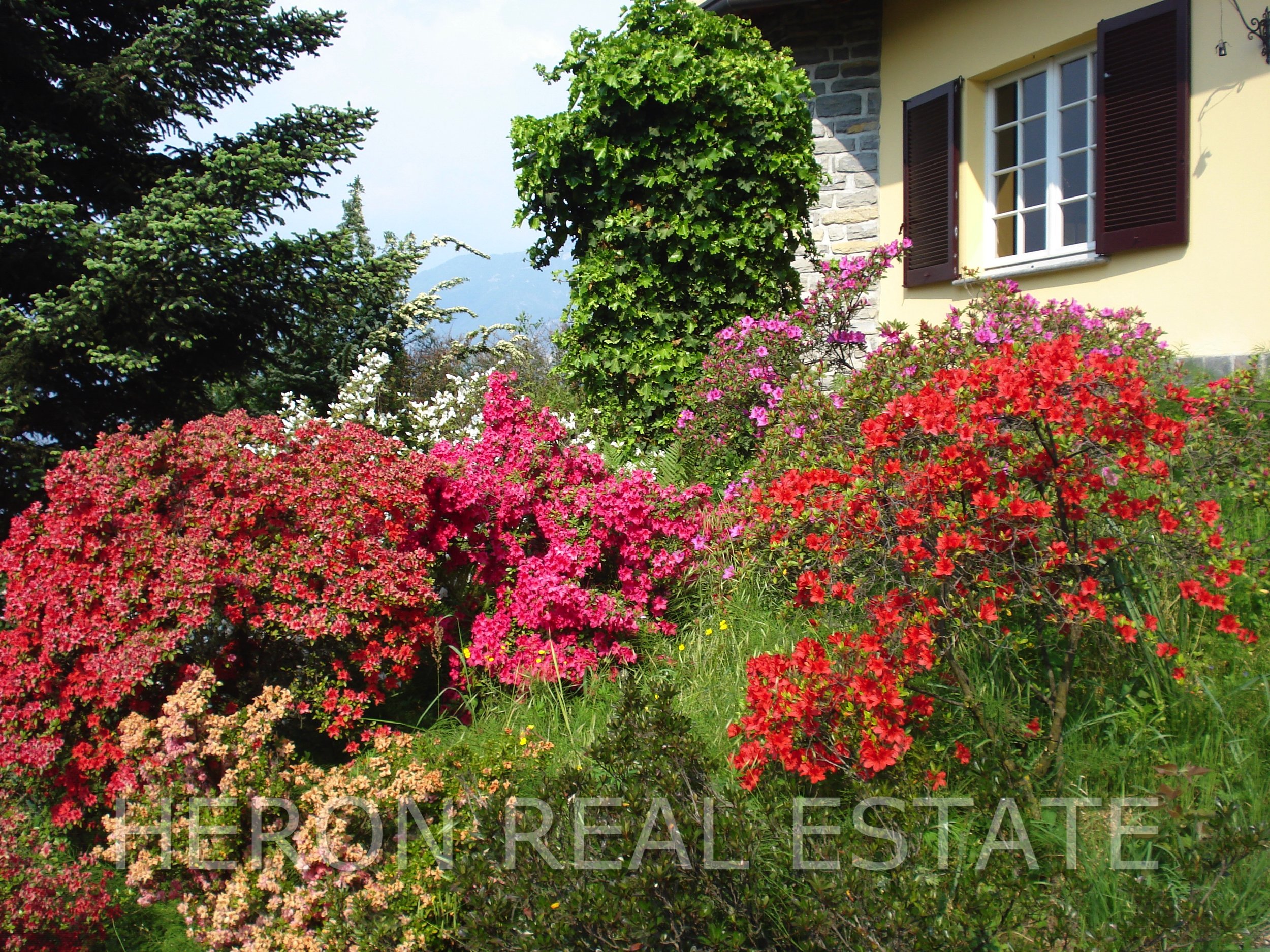 17 lush garden.jpg