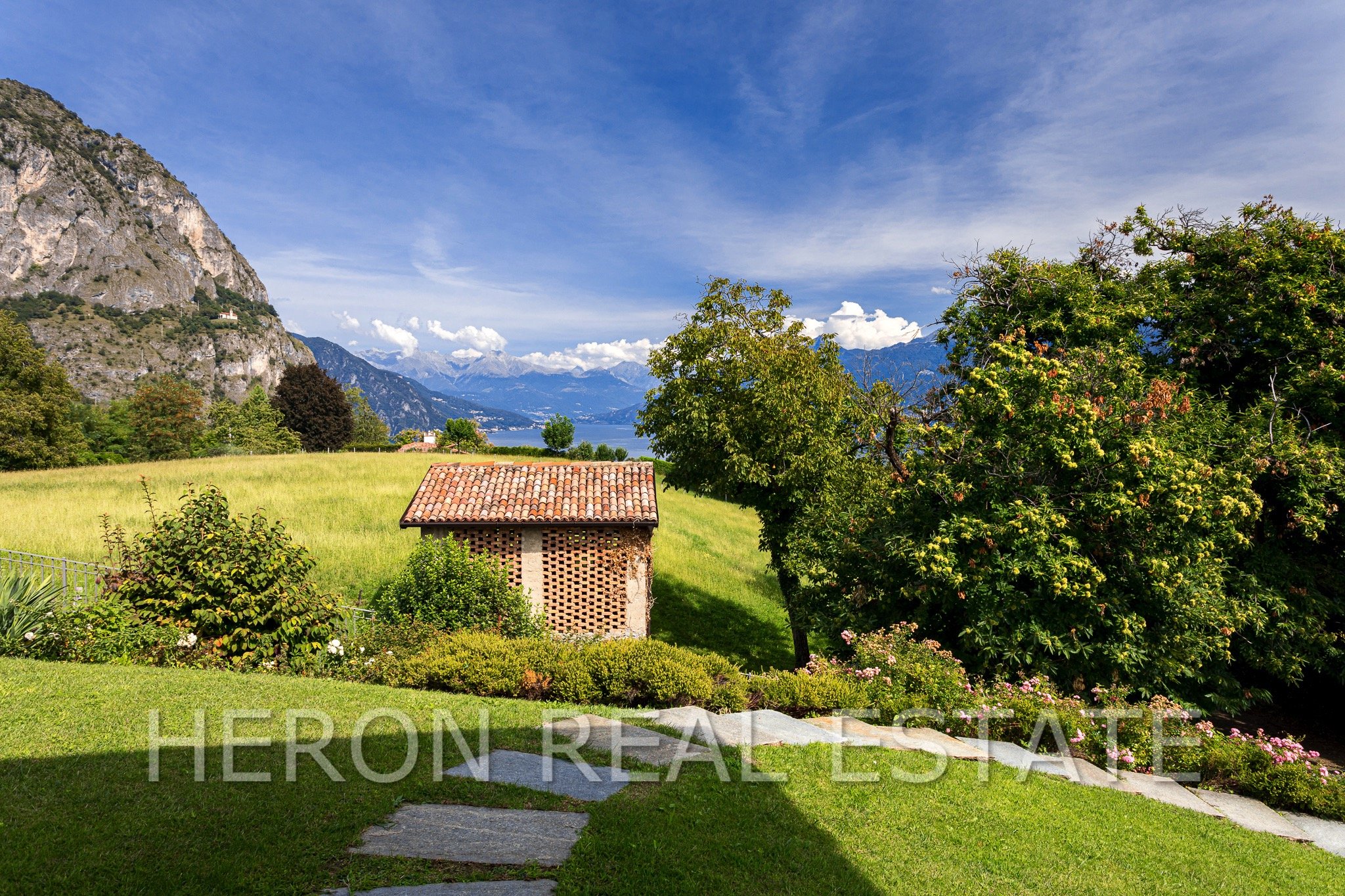 Villa in Griante - nature.jpg