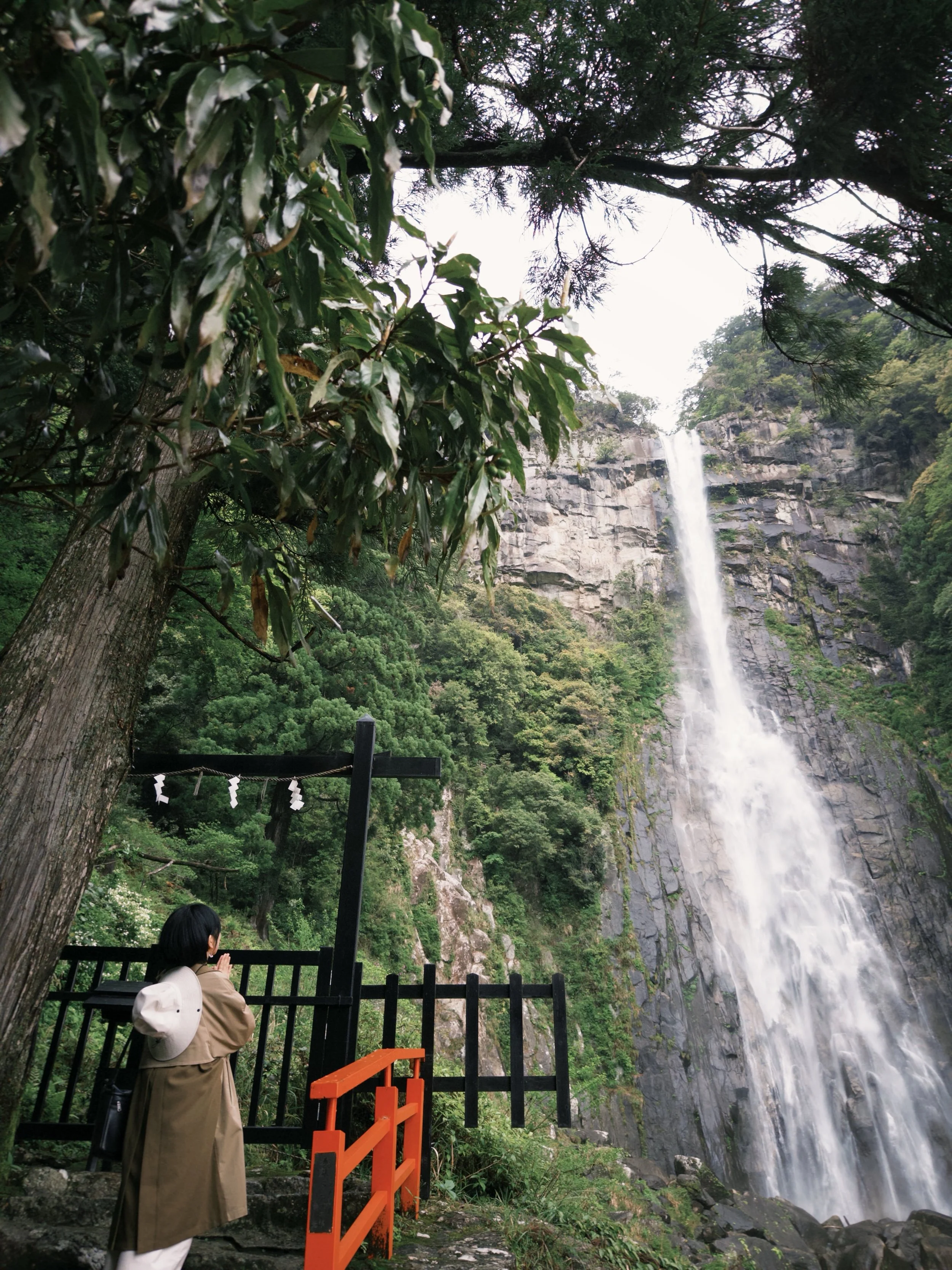 我的膩本朝聖之路🙏⛩️

#熊野古道 #和歌山 #日本 #japan #photography 

出發✌️

#熊野古道 #和歌山 #日本 #japan #photography 

這裡的御神木，走過了好幾個世代，見證無數登山者的步伐，而我們都是有幸在此路過的旅人。

歷經數百年歲月的生命，心中除了敬畏還是敬畏，好好珍惜與愛護，才能讓下一個世代，也遇見這一片美好的風景。

據說喝一口那智瀑布的「御瀧水」，便能祈求長壽。

雖說生命的長短，從來不是我所追求的，但我還是嚐了一口，只為記住這片山