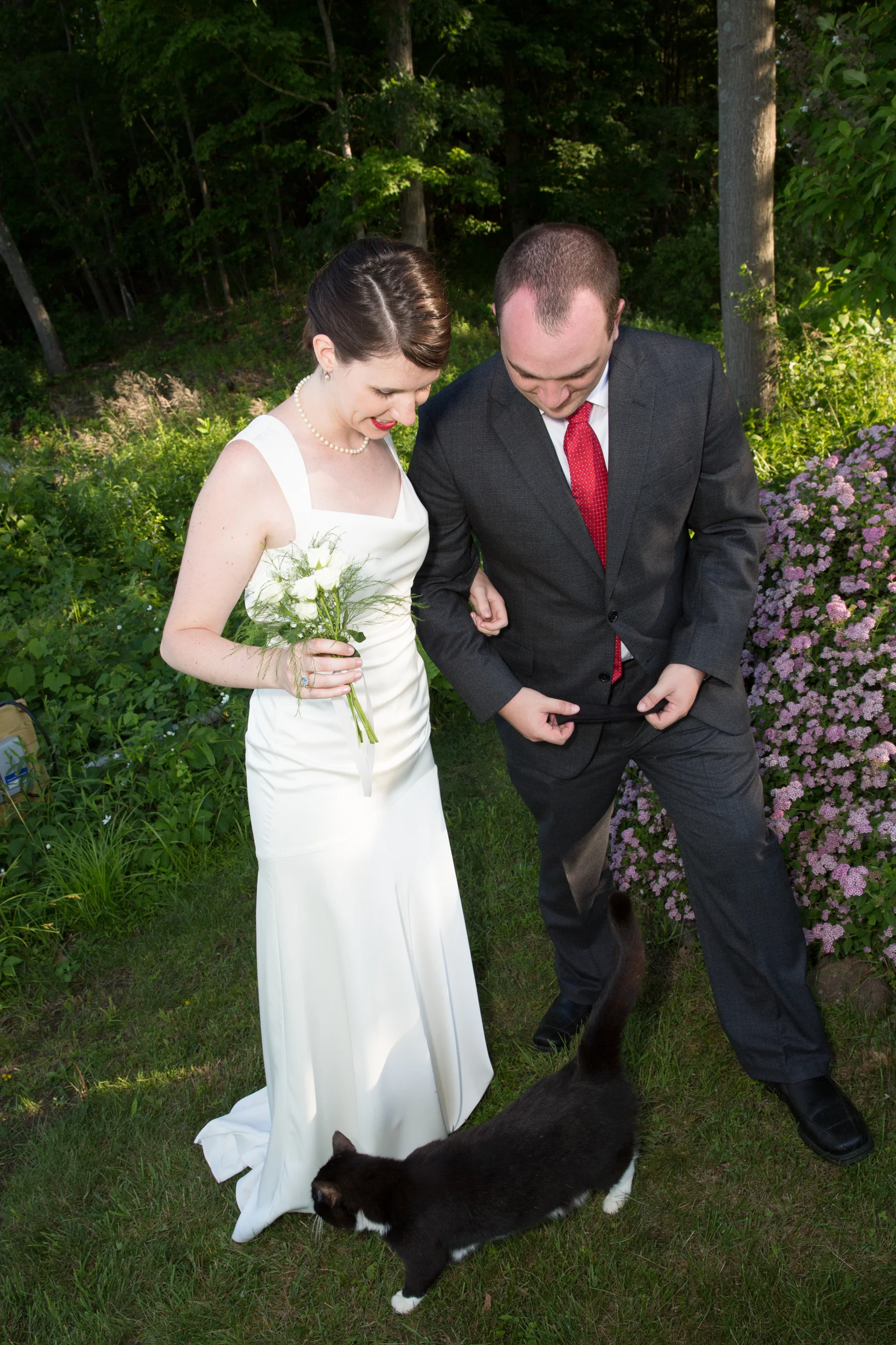 Wedding in Saugerties with the bride, groom and cat.