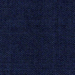 Navy Sharkskin 3101
